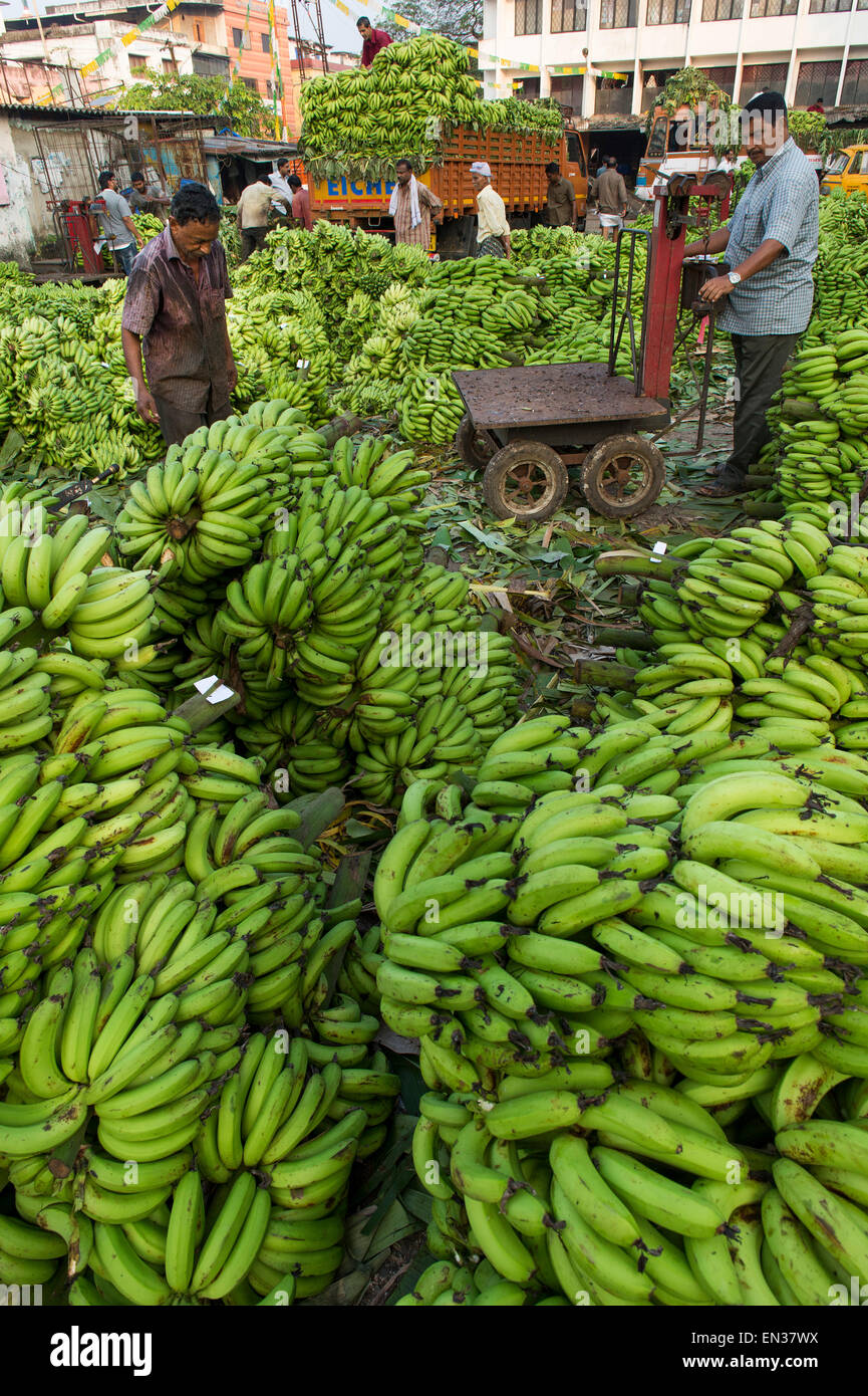 Les vendeurs de bananes et de travailleurs sur le marché de Broadway, Ernakulam, Kerala, Inde Banque D'Images