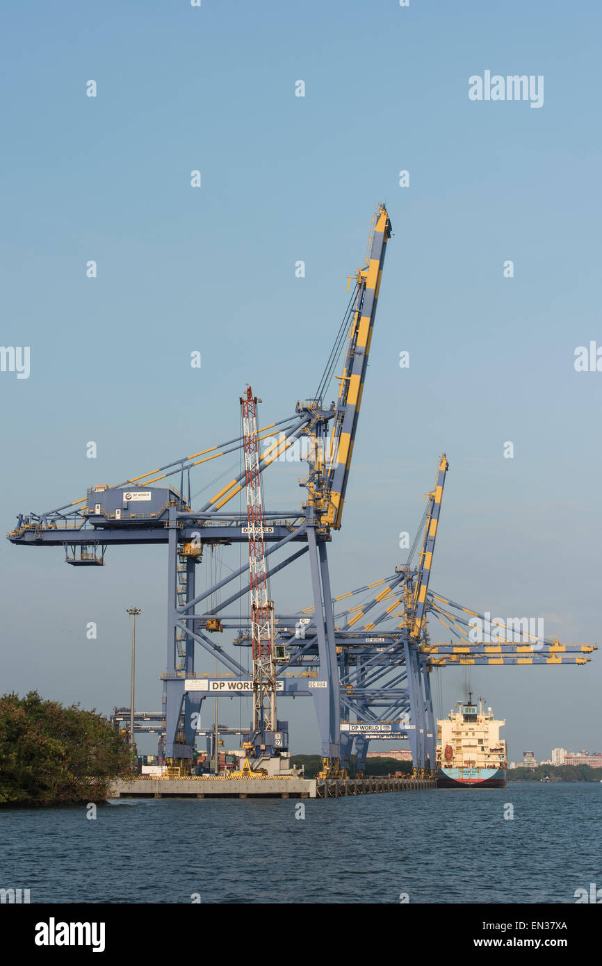 Conteneurs de Maersk Line, grues, International Container Terminal de transbordement TICE, Terminal Vallarpadam, Kochi, Kerala Banque D'Images