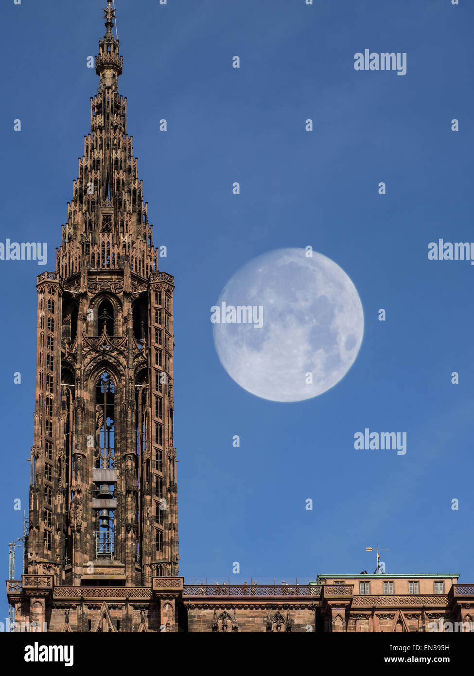 La cathédrale de Strasbourg, tour avec la pleine lune, Strasbourg, France Banque D'Images