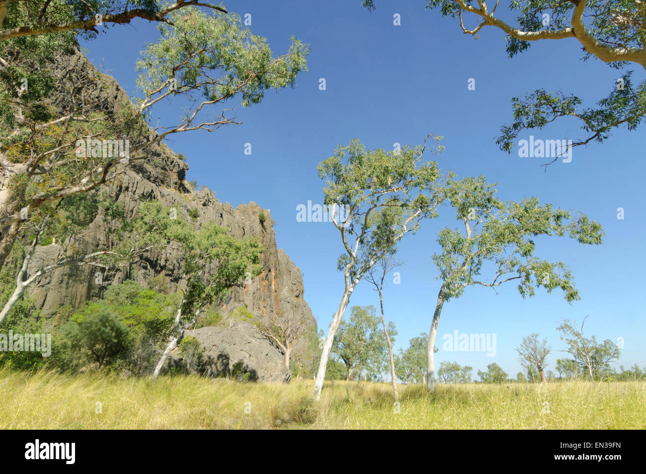 Savannah, Windjana Gorge, Kimberley, Australie occidentale Banque D'Images
