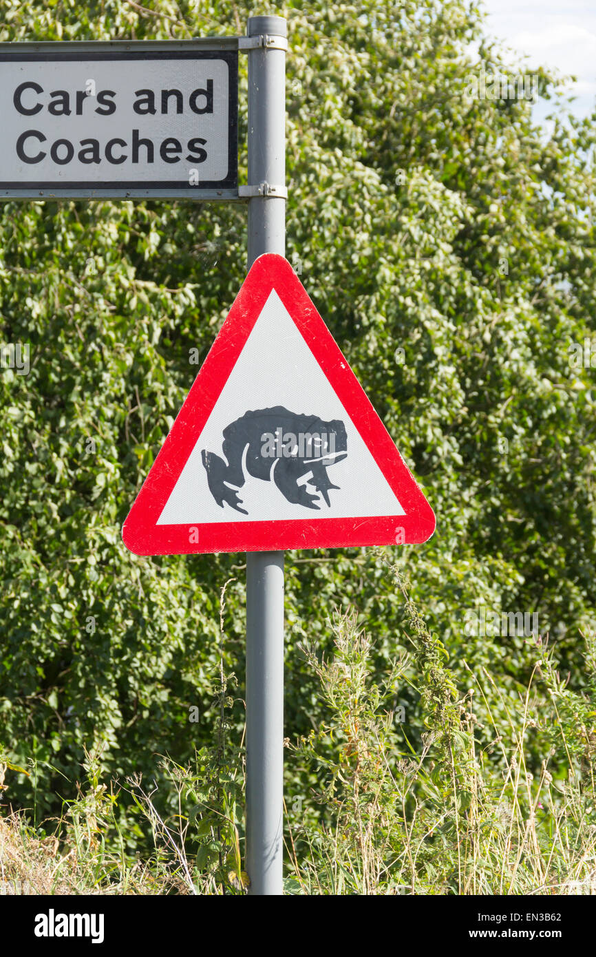 Road sign warning de grenouilles sur la route. Situé à proximité d'un étang à côté de la route d'accès à Vernonia parking plage, dans le Northumberland. Banque D'Images