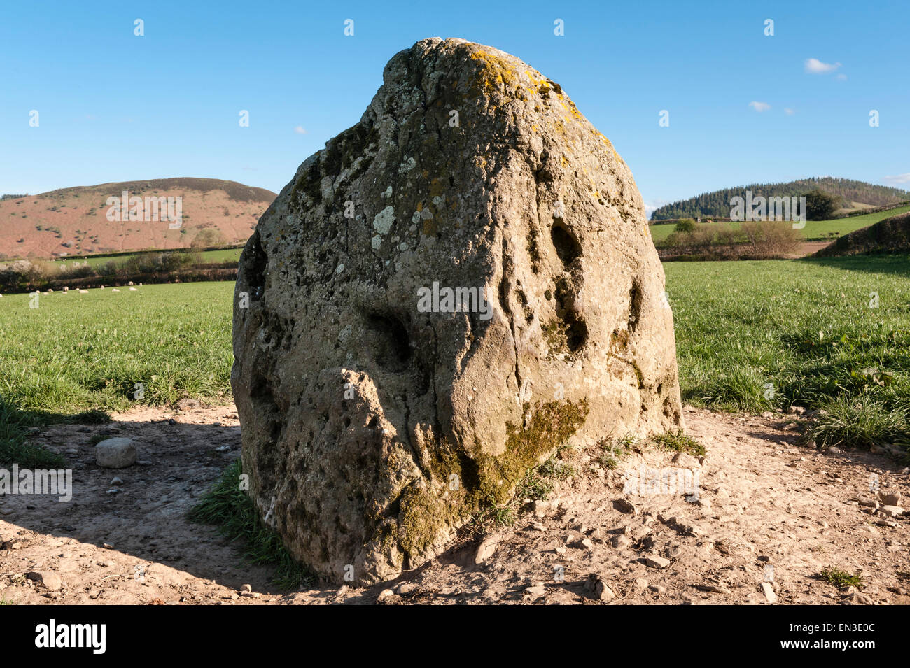 Près de New Radnor, Powys, Wales, UK. La pierre Knobley (Le Hoarstone Oarstone, L). Un début de l'âge du Bronze standing stone Banque D'Images