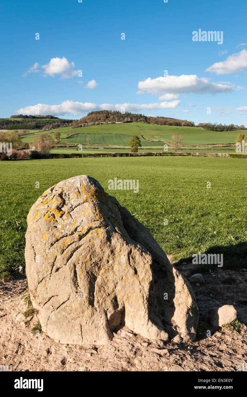 Près de New Radnor, Powys, Wales, UK. La pierre Knobley (Le Hoarstone Oarstone, L). Un début de l'âge du Bronze standing stone Banque D'Images