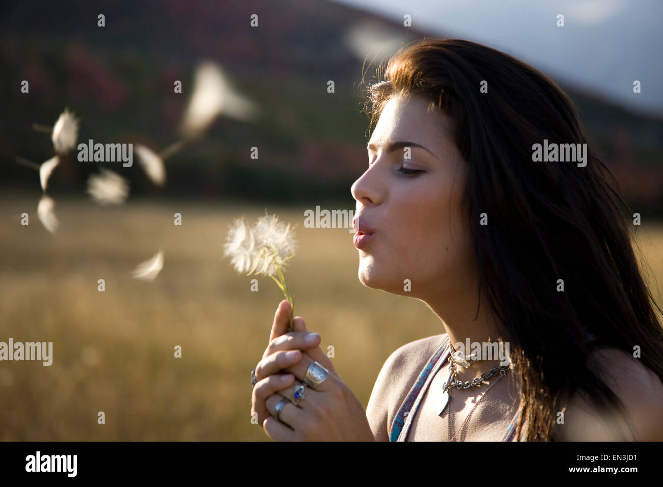 USA, Utah, South Fork, Teenage girl (16-17) blowing dandelion in meadow Banque D'Images