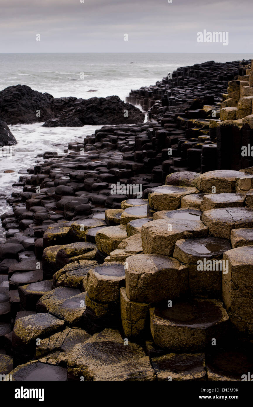 Une vue sur les rochers à Giant's Causeway dans le comté d'Antrim, sur la côte nord-est de l'Irlande du Nord. Credit : Euan Cherry Banque D'Images