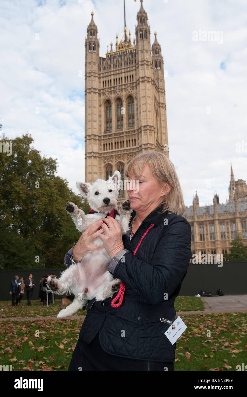 Westminster Dog de l'année 2014 activité de bienfaisance de Victoria Tower Gardens. Avec : Nadine Dorries Où : London, Royaume-Uni Quand : 23 Oct 2014 Banque D'Images