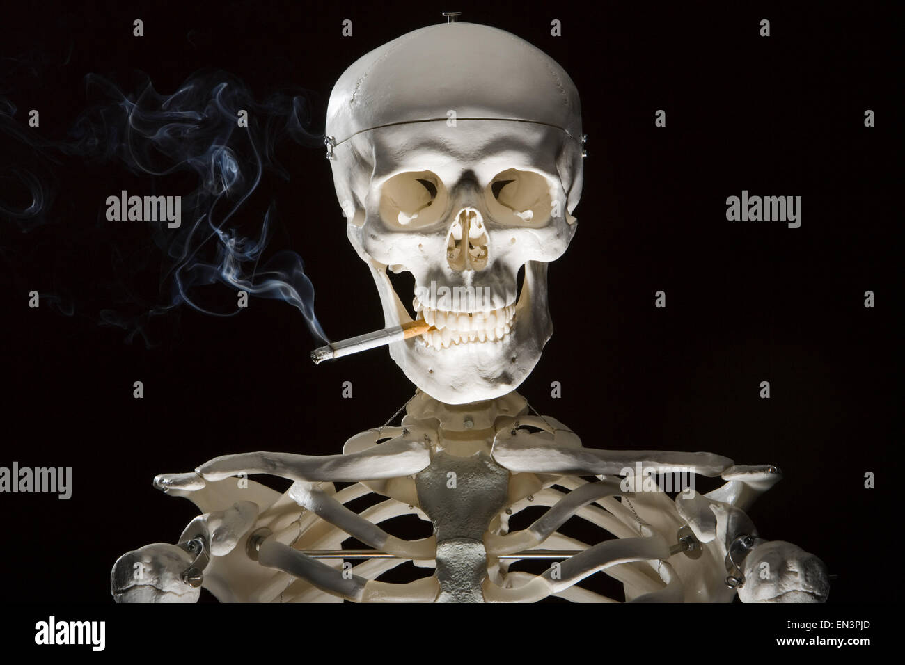 Gros plan du squelette cigarette Banque D'Images