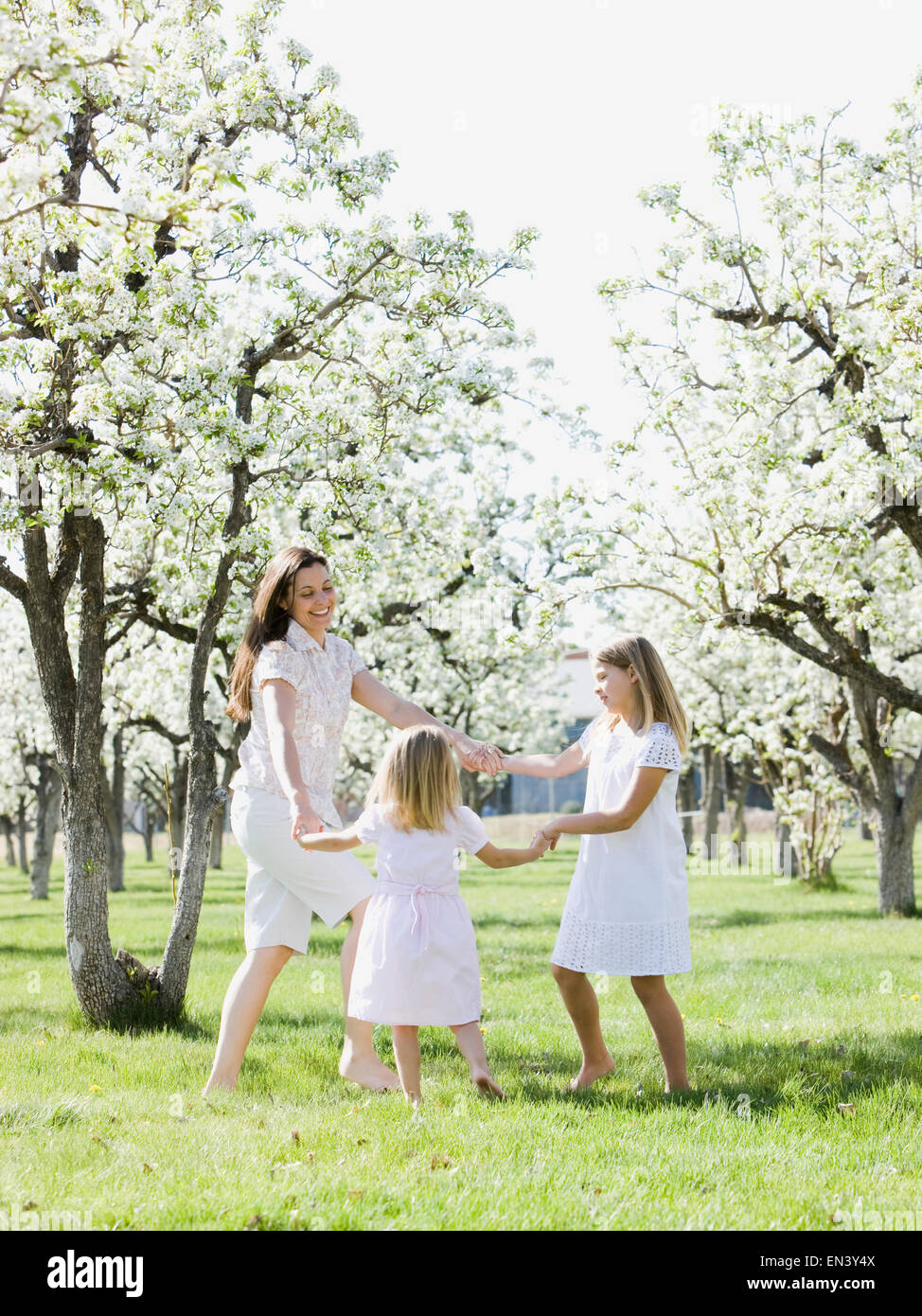 La mère et les filles dans un verger en fleurs Banque D'Images La mère et les filles dans un verger en fleurs Banque D'Images
