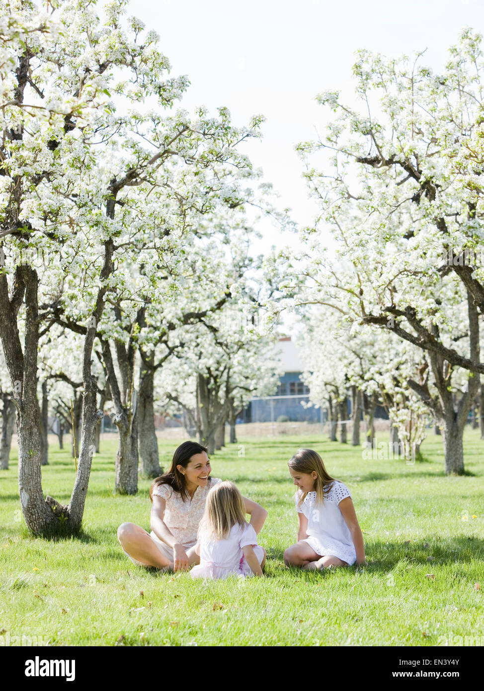La mère et les filles dans un verger en fleurs Banque D'Images La mère et les filles dans un verger en fleurs Banque D'Images