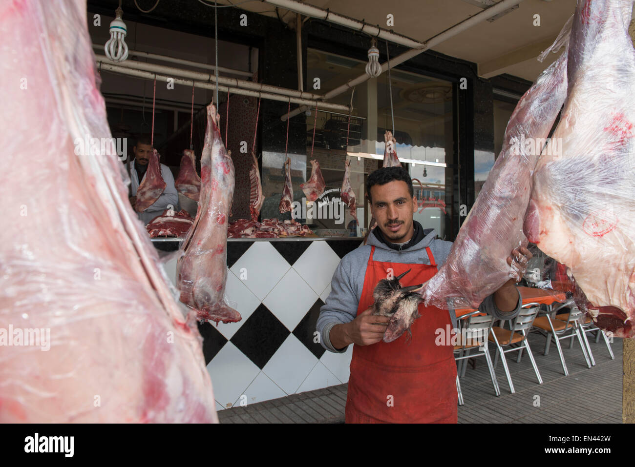 Propriétaire de restaurant avec des carcasses de chèvres dans la région de Midelt, Maroc. Banque D'Images