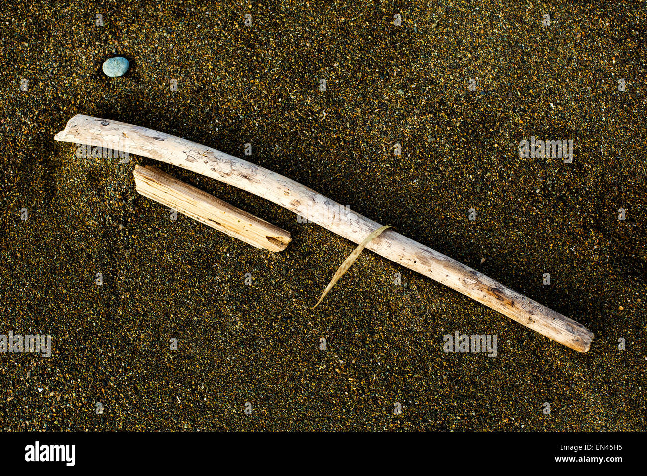 Driftwood réside dans le sable d'une plage sur l'île de Caramoan aux Philippines le 28 décembre 2014. Banque D'Images