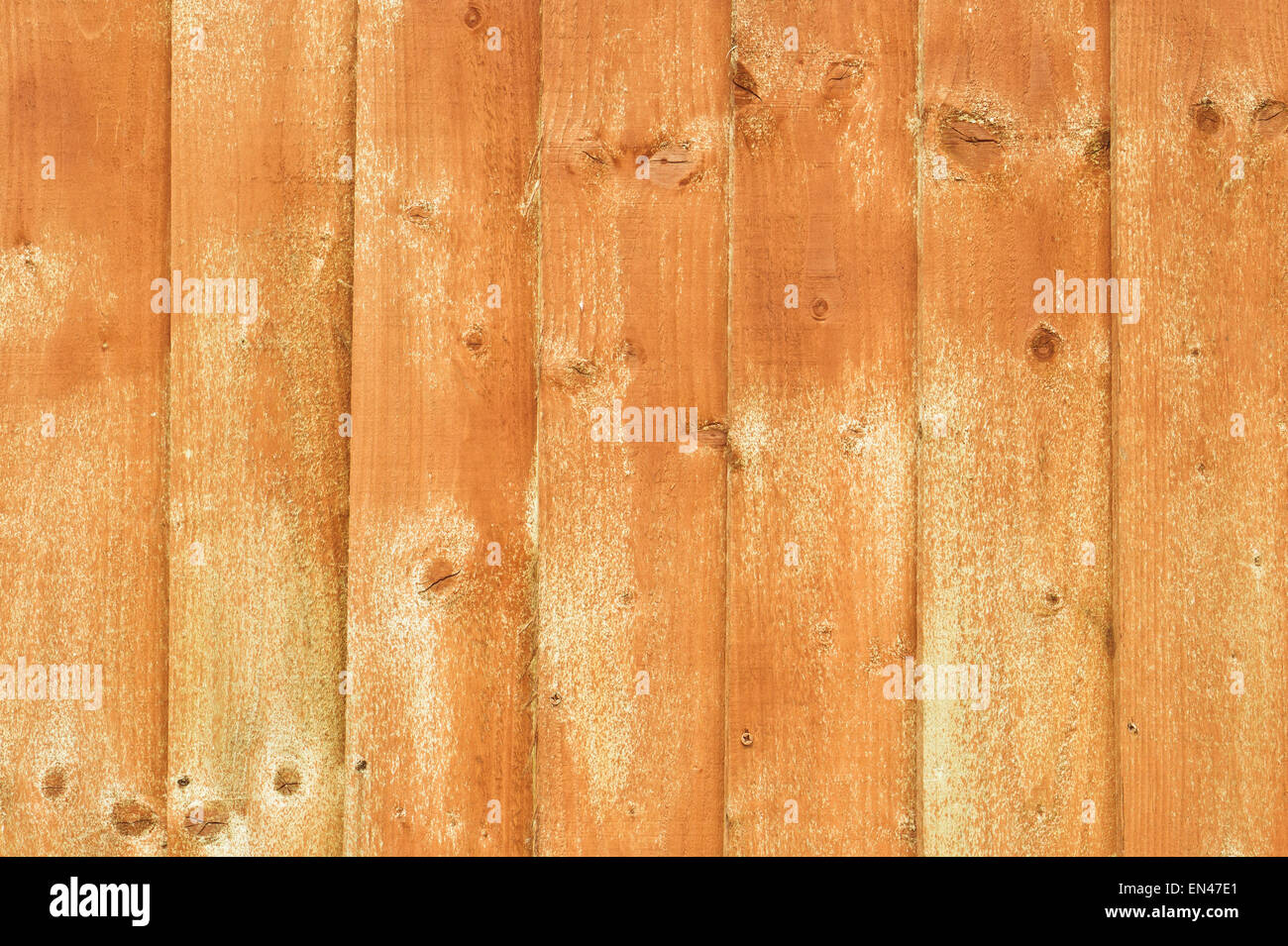 Panneaux de clôture en bois récemment traitée avec conservation du bois Banque D'Images