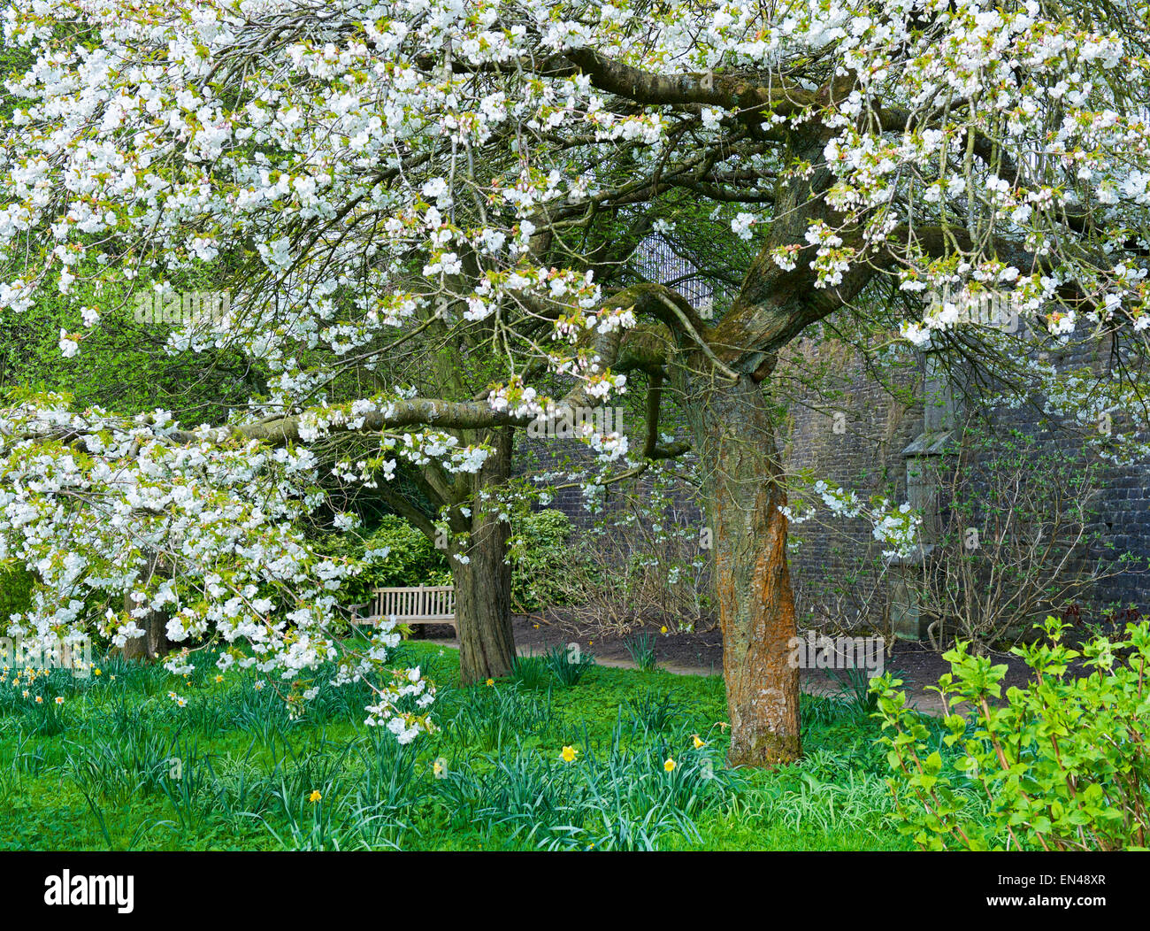 Les jardins à Lyme Park, une propriété du National Trust à proximité de Dislaey, Cheshire, Angleterre, Royaume-Uni Banque D'Images