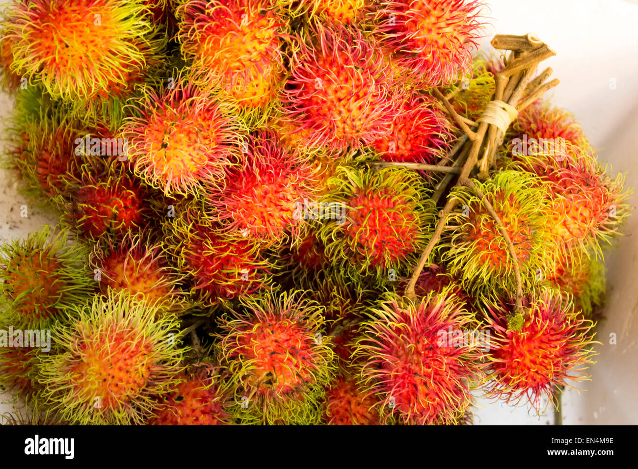 Rambutan fruit coloré tropical Banque D'Images