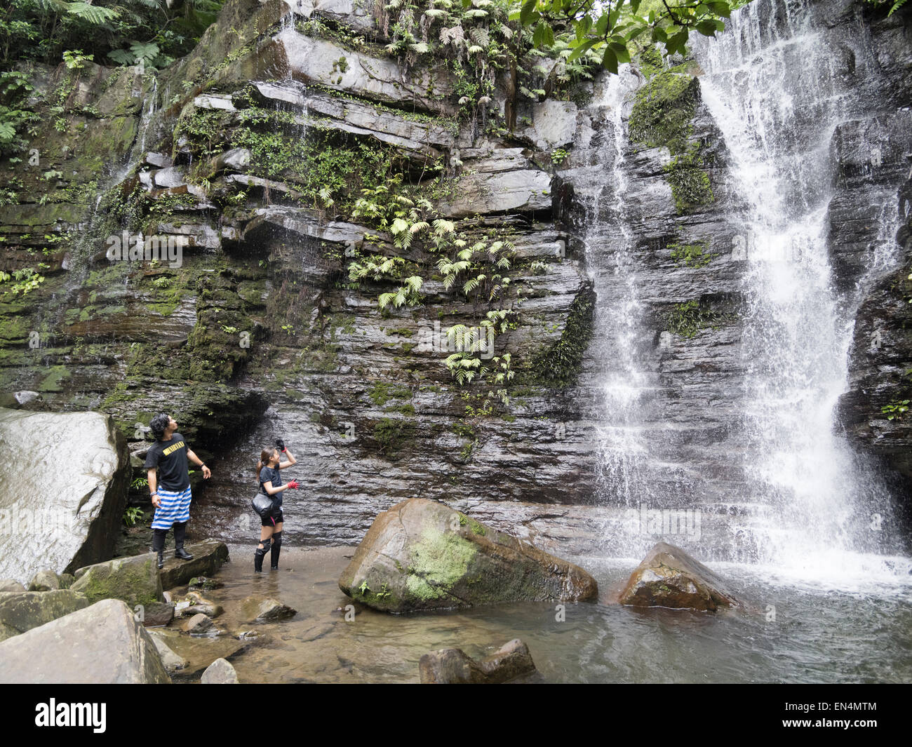 Randonnée dans la jungle jusqu'à une cascade sur l'île d'Iriomote, Îles Yaeyama, Okinawa, Japon, royaume des Ryukyu Banque D'Images