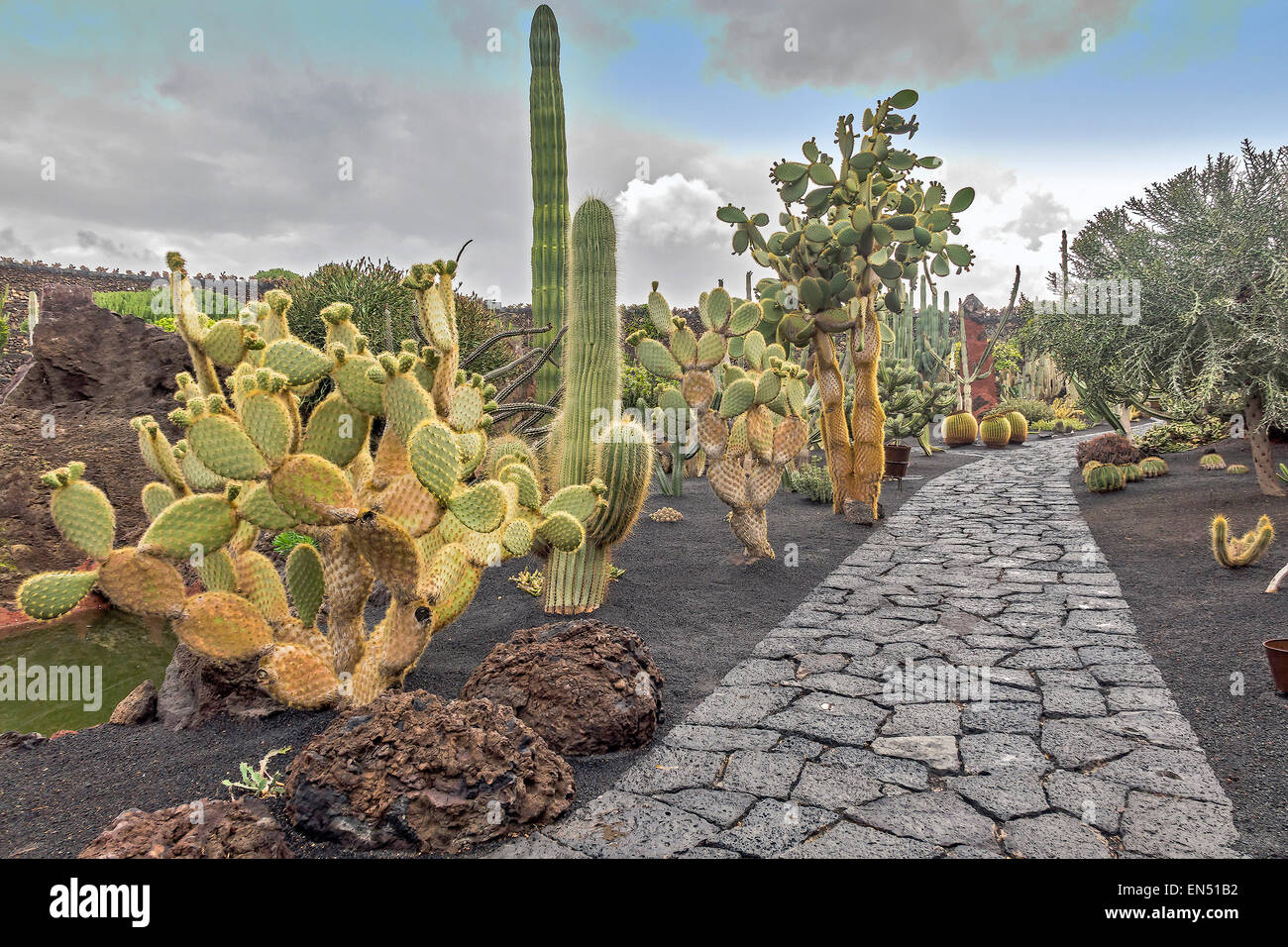 Guatiza jardin de cactus Lanzarote Iles Canaries Banque D'Images
