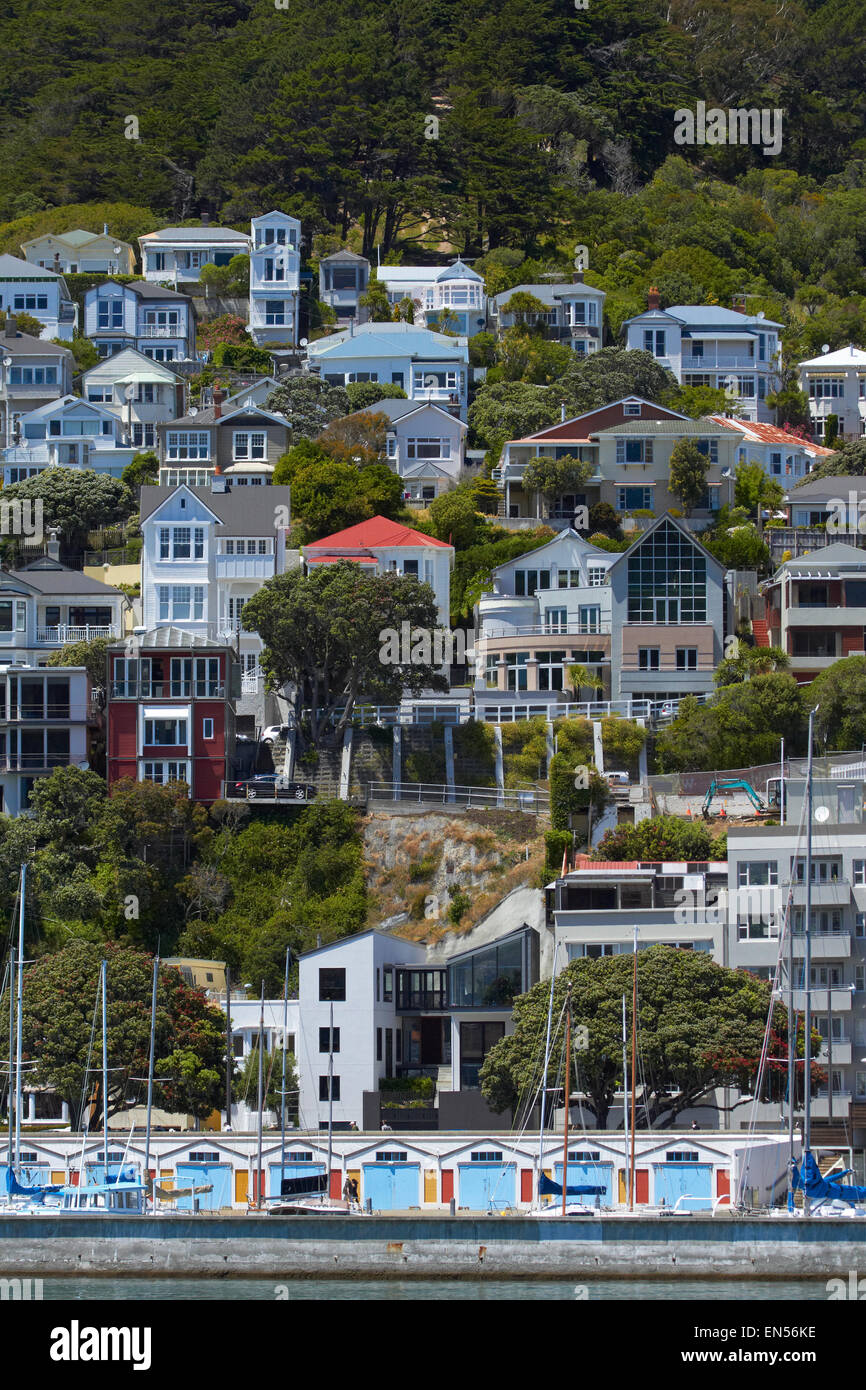 Villas historiques, Oriental Bay, et boatsheds au Clyde Marina Quay, Wellington, Île du Nord, Nouvelle-Zélande Banque D'Images