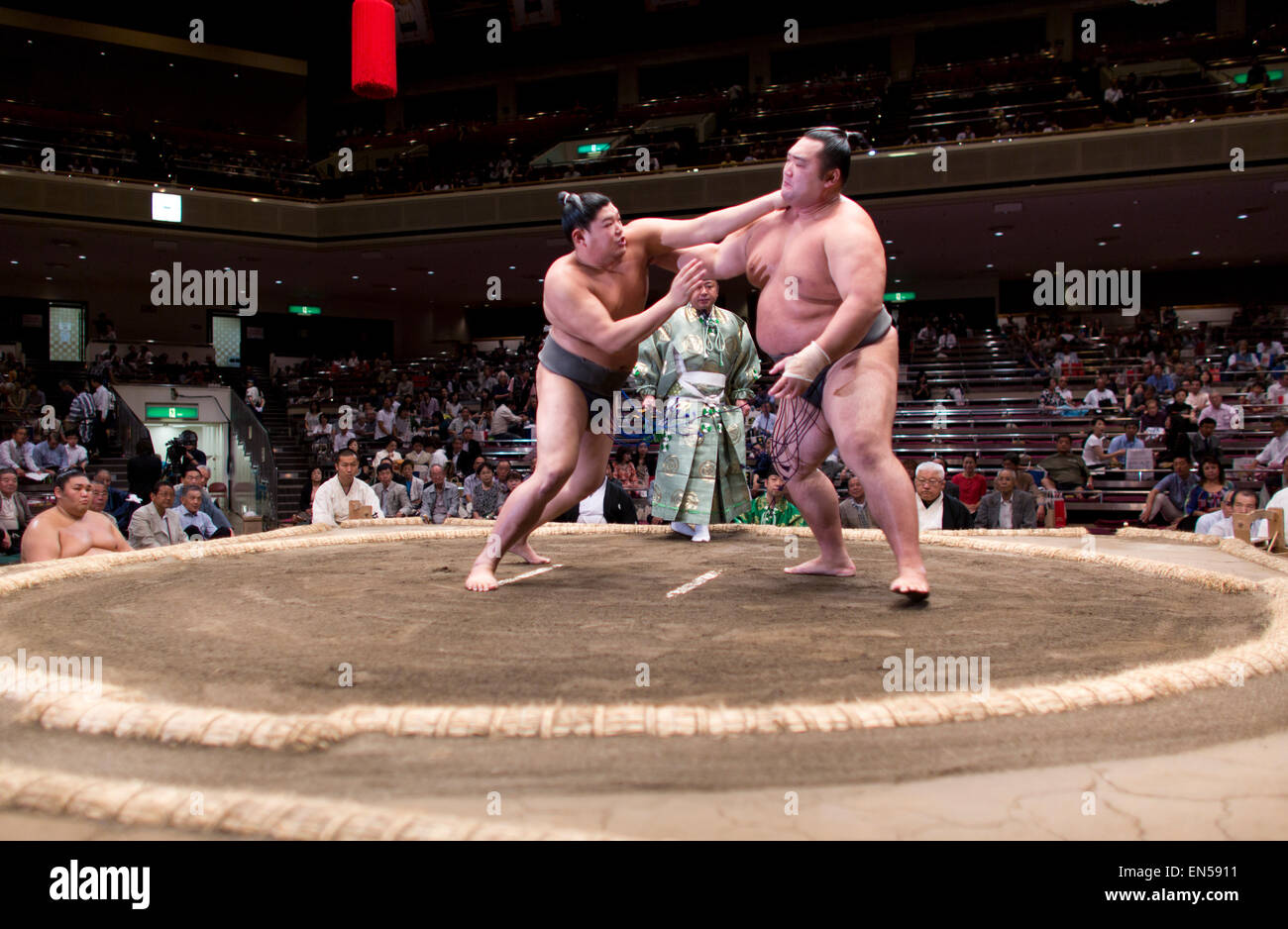 Le sumo à Tokyo Banque D'Images