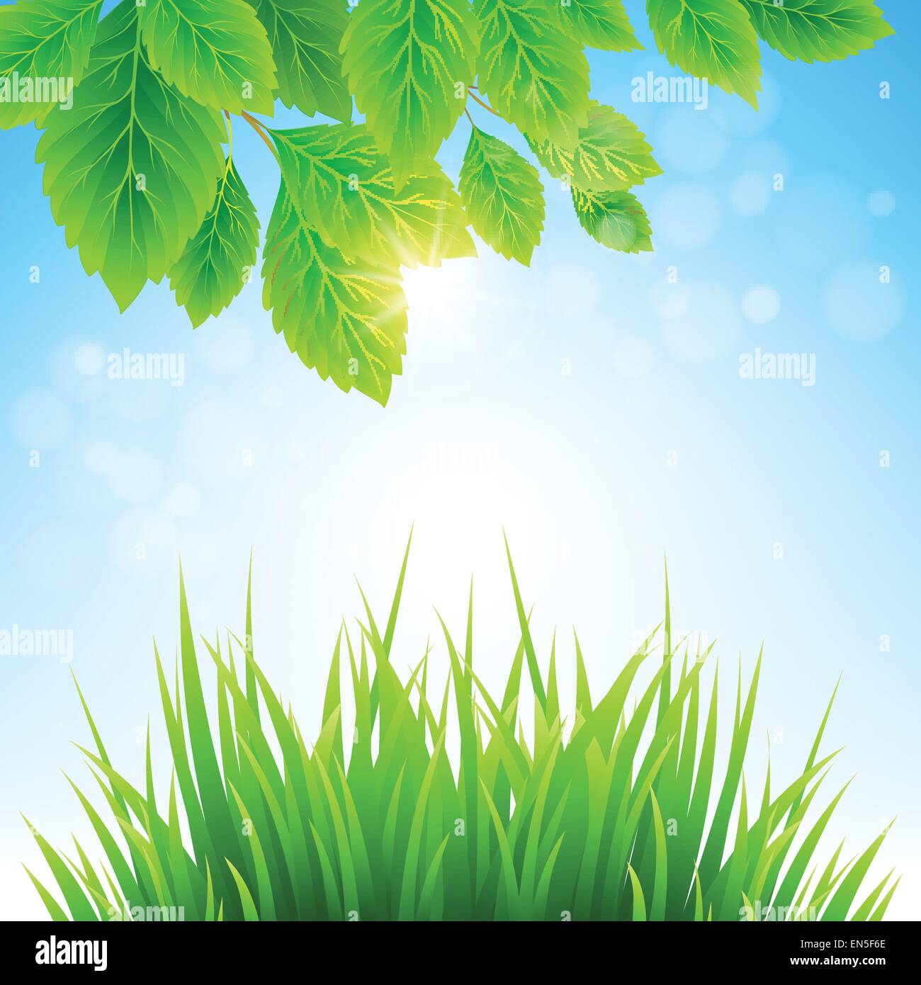 Printemps propre paysage étonnant. Vector nature paysage. Illustration de Vecteur