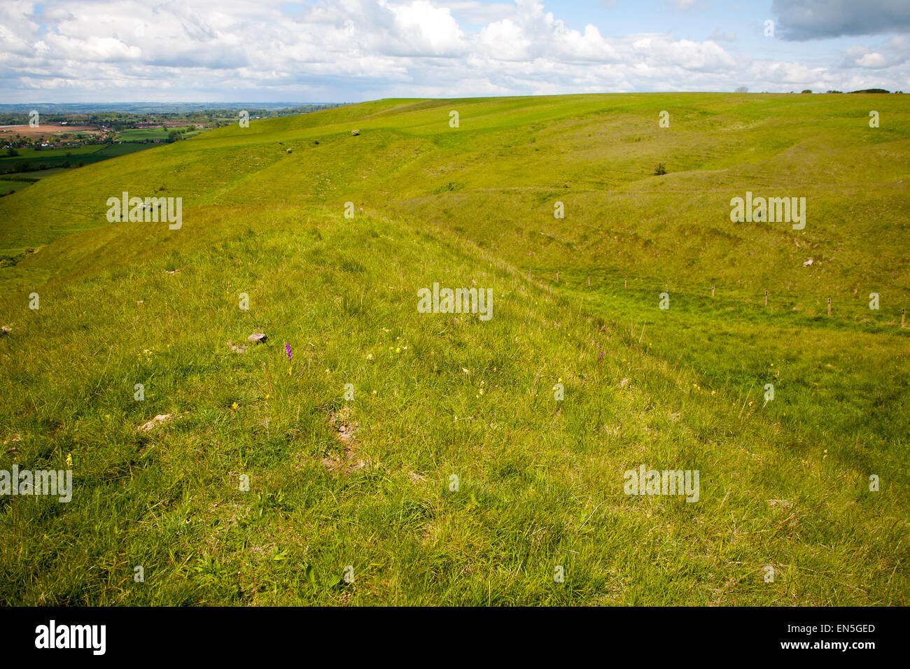 L'escarpement de craie avec des pentes des vallées sèches à Roundway Hill, près de Devizes, Wiltshire, Angleterre Banque D'Images