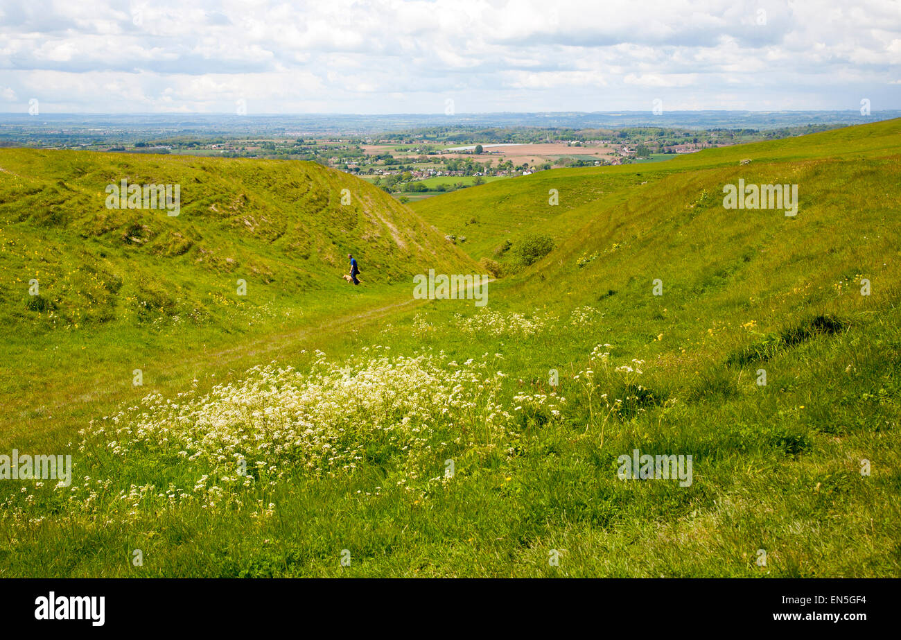 L'escarpement de craie avec des pentes des vallées sèches à Roundway Hill, près de Devizes, Wiltshire, Angleterre Banque D'Images