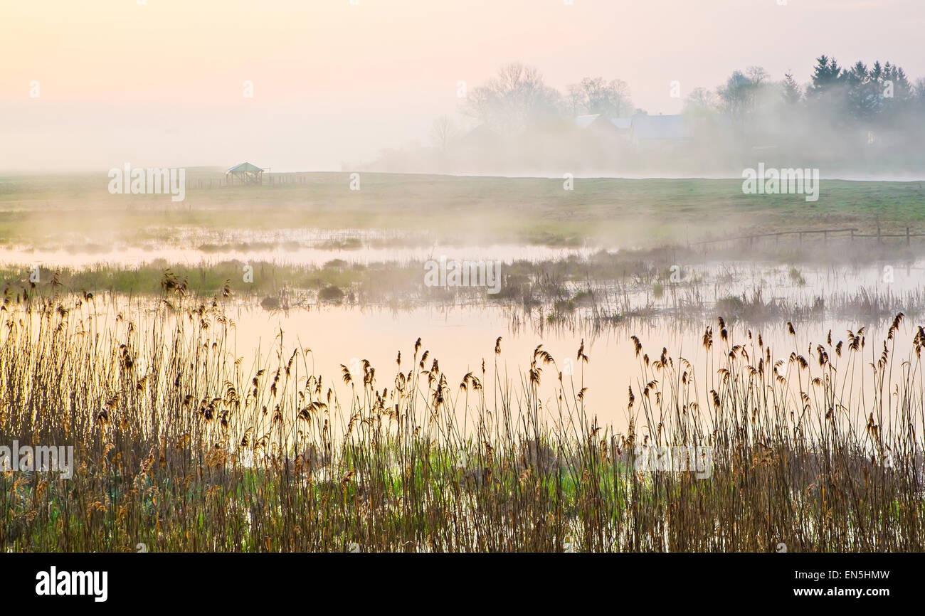 Vue pittoresque de la rivière à aube lumière Banque D'Images