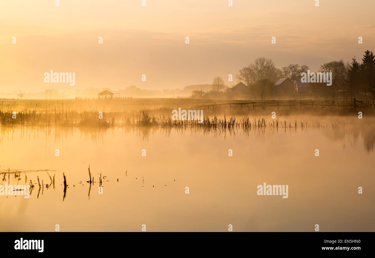 Vue pittoresque de la rivière à aube lumière Banque D'Images