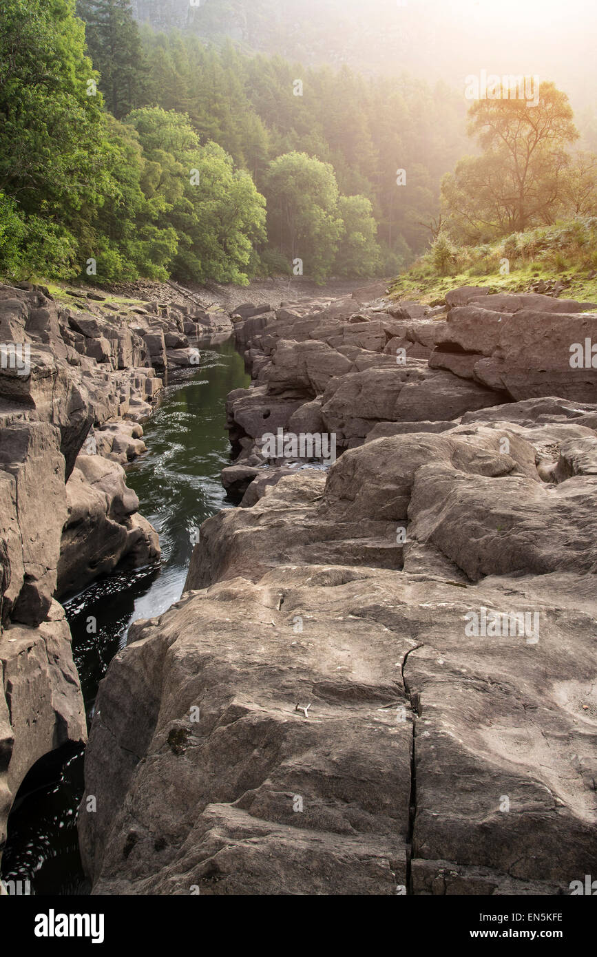Beau matin image paysage de lumière du soleil à travers les arbres en dessous de canyon creek Banque D'Images