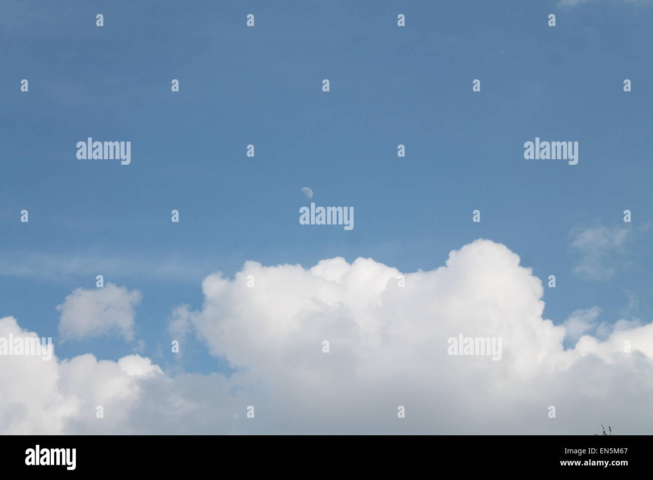 Ciel bleu nuages moelleux pur et la moitié de la lune blanche Banque D'Images