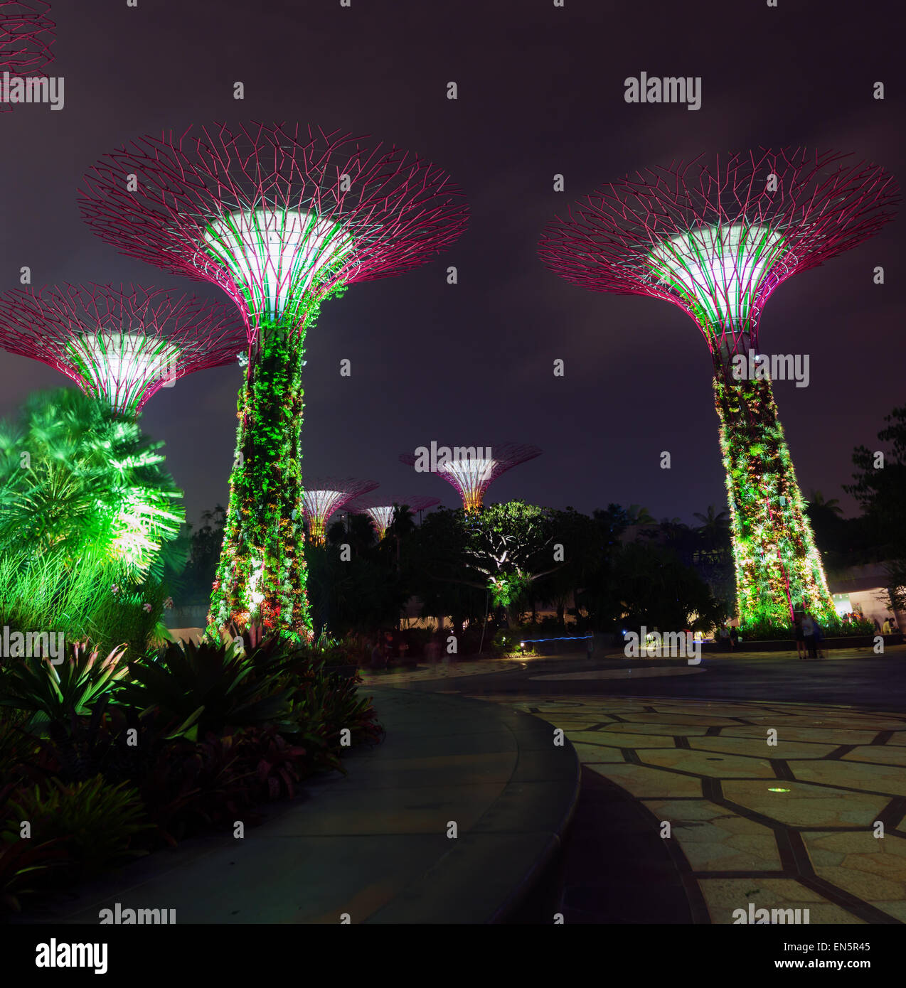 Lumières colorées des célèbres jardins de tours, éclairé par la baie de Singapour, mimicing les arbres naturels. Banque D'Images