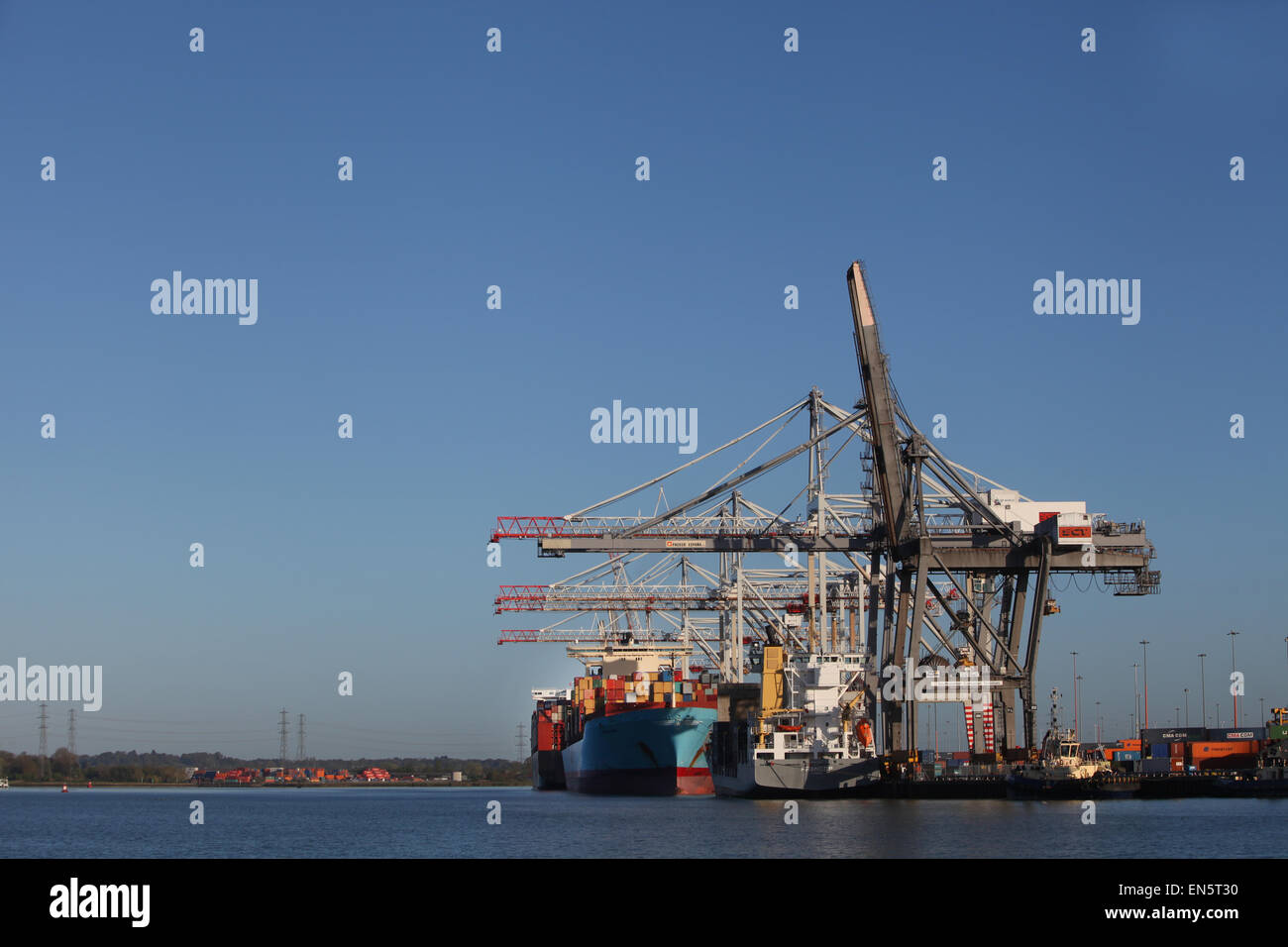 DP World Container Port de Southampton Docks Banque D'Images