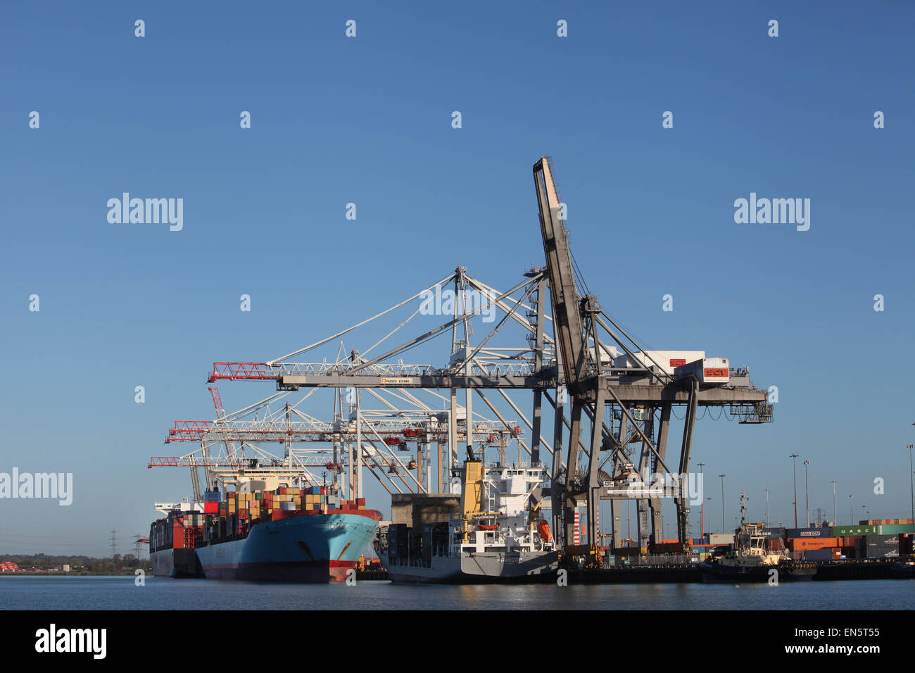 DP World Container Port de Southampton Docks Banque D'Images