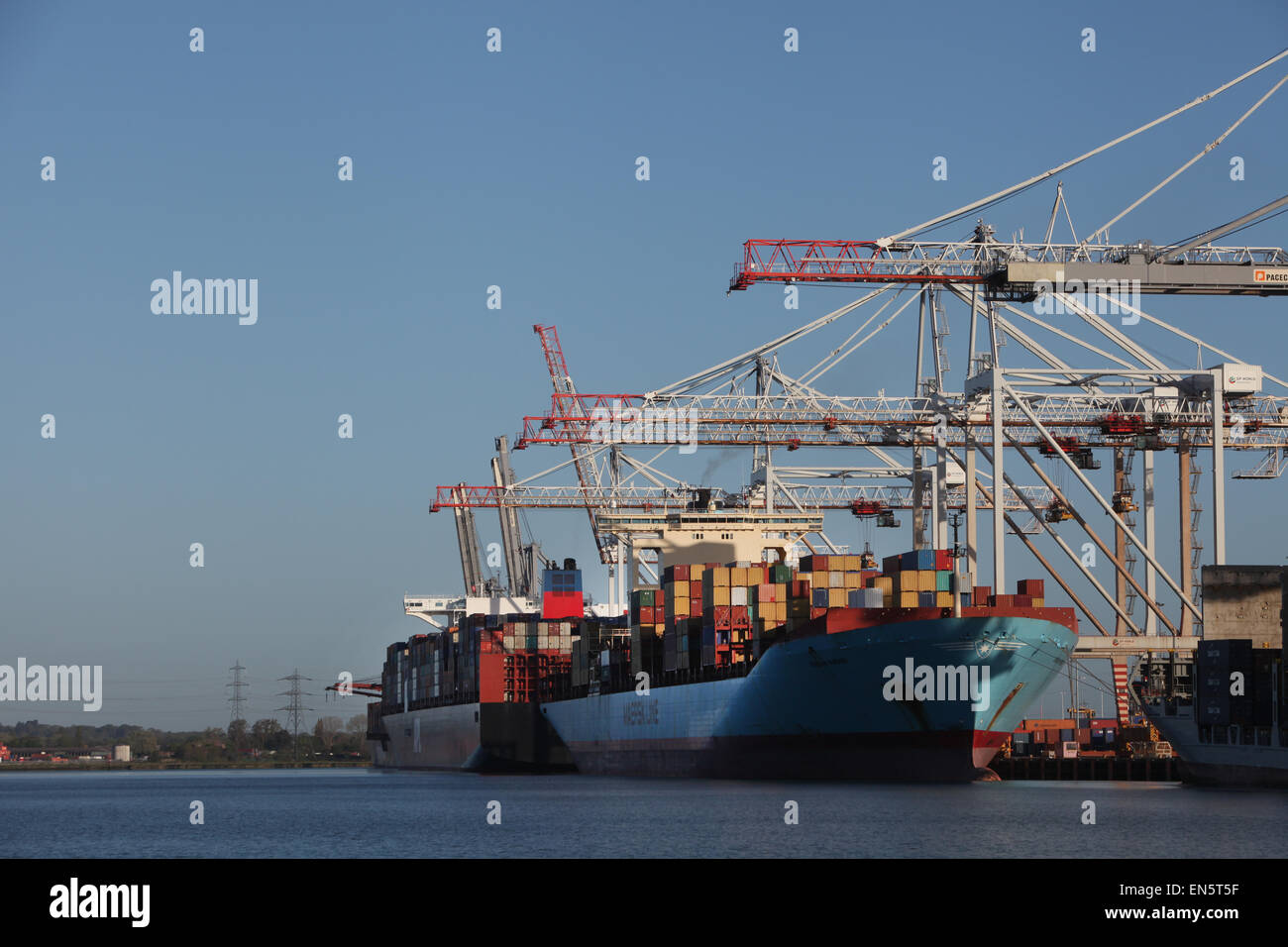 DP World Container Port de Southampton Docks Banque D'Images