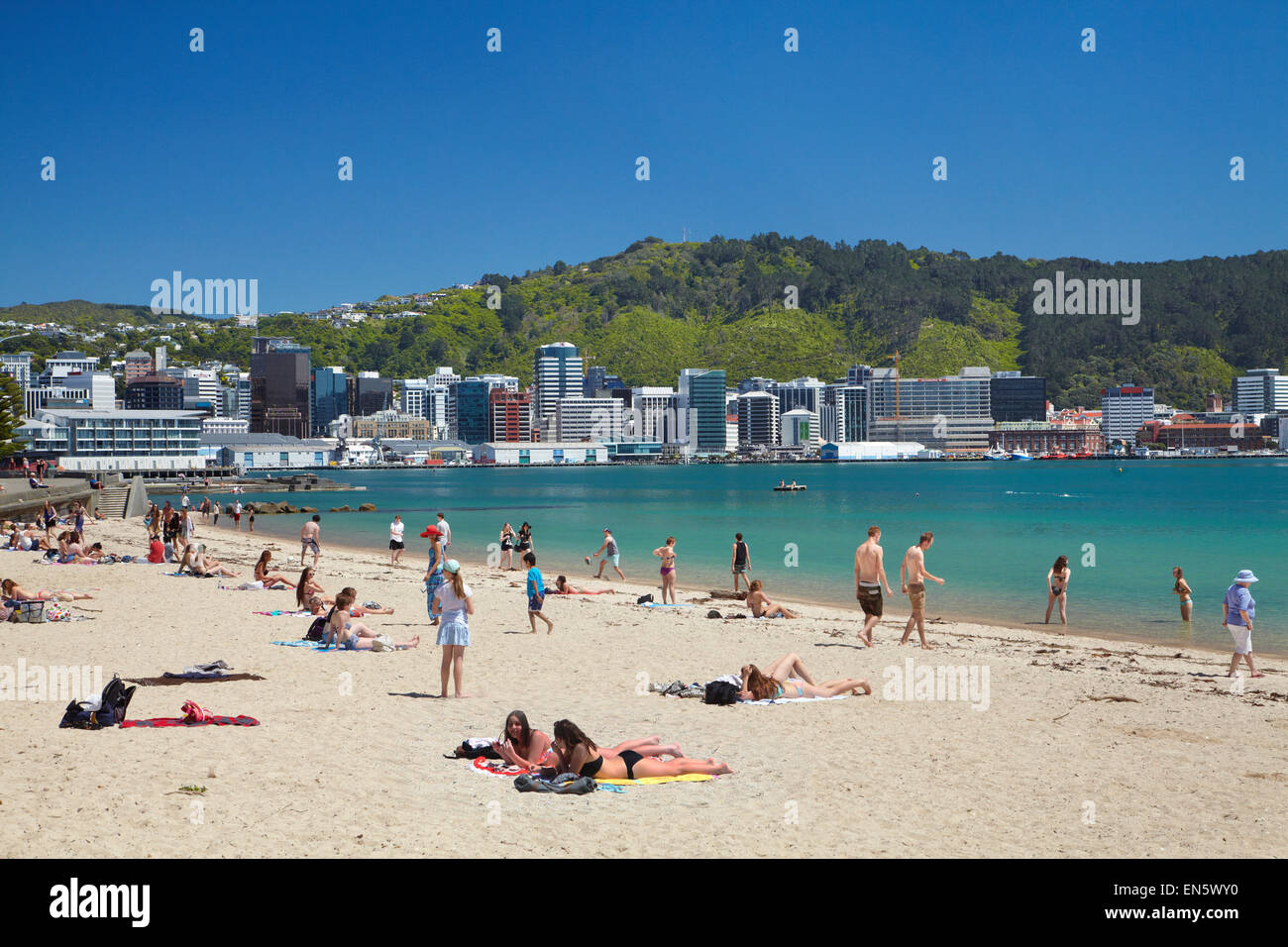 Journée d'été à la plage de la Baie Orientale, Wellington, Île du Nord, Nouvelle-Zélande Banque D'Images