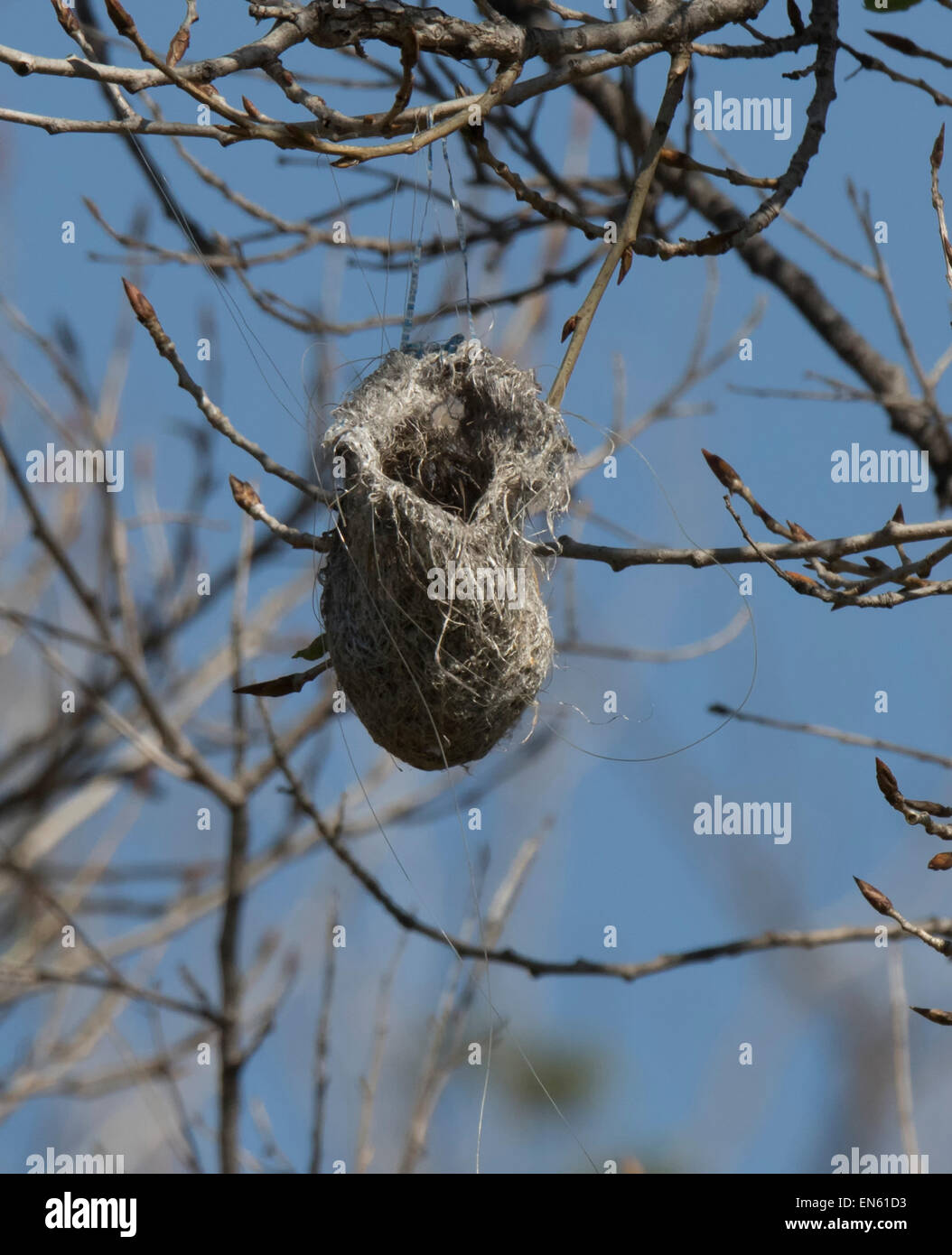 Nid d'oiseau tissé 2 pièces, nid d'oiseau fait à la main pour