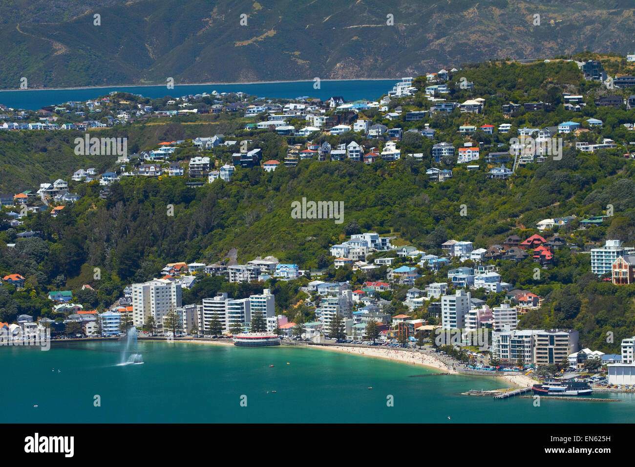 Le port de Wellington et l'Oriental Bay, Wellington, Île du Nord, Nouvelle-Zélande Banque D'Images