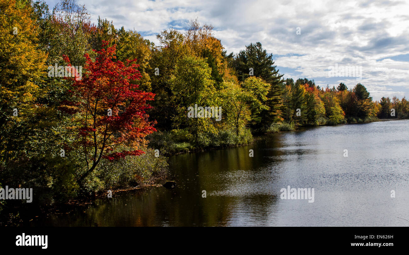 Forêt d'automne colorés près de River dans le nord de New York Banque D'Images