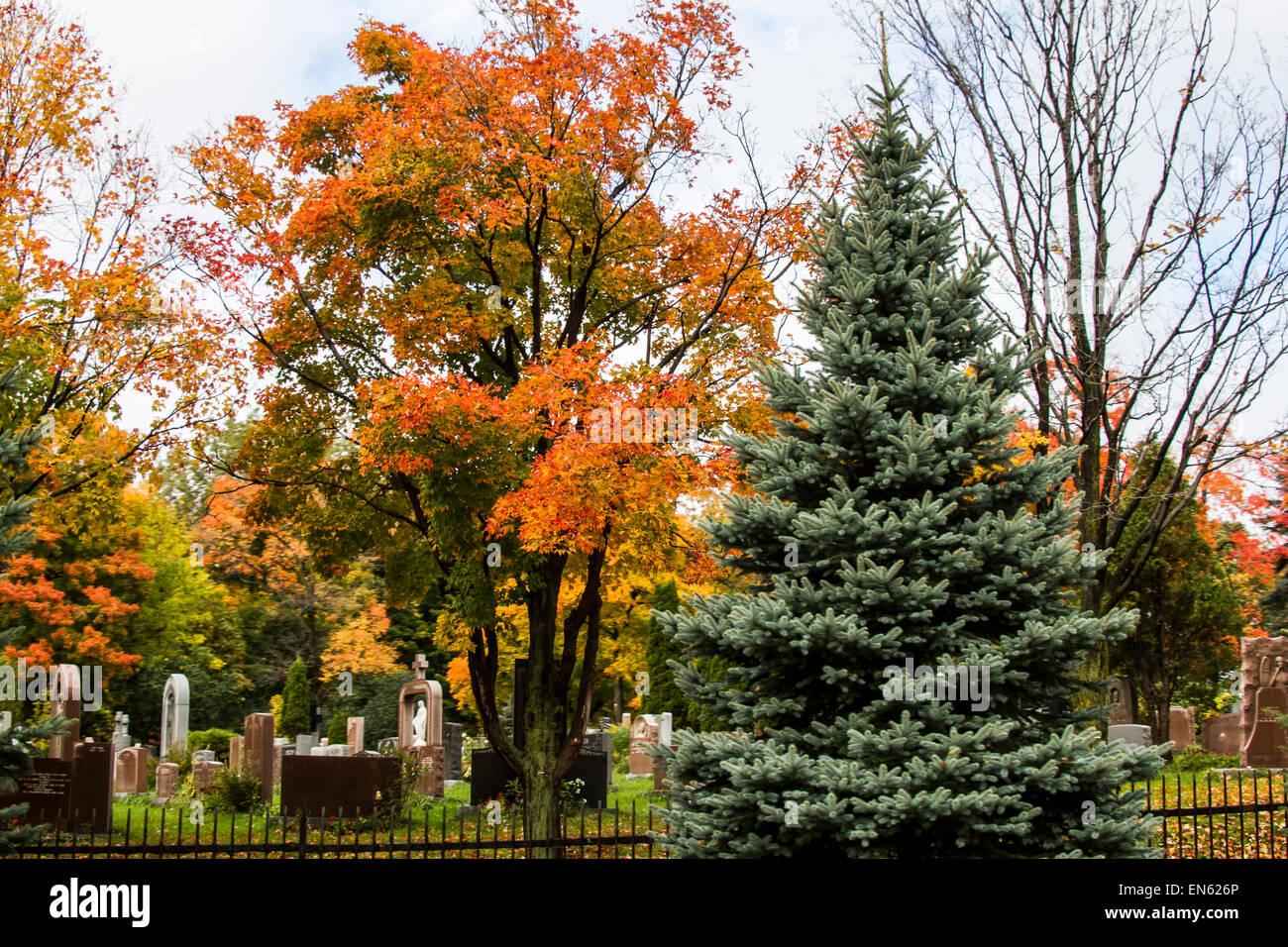 Cimetière à Montréal, Canada avec des couleurs d'automne Banque D'Images