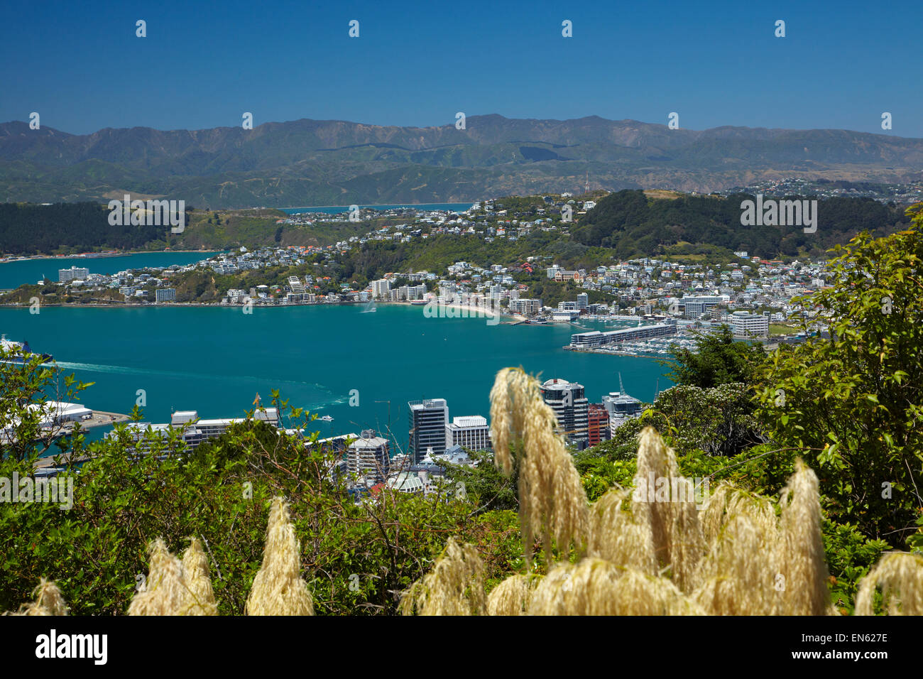 CBD, Wellington Harbour, Baie Orientale, et mosquée de graminées, de Wellington, Île du Nord, Nouvelle-Zélande Banque D'Images