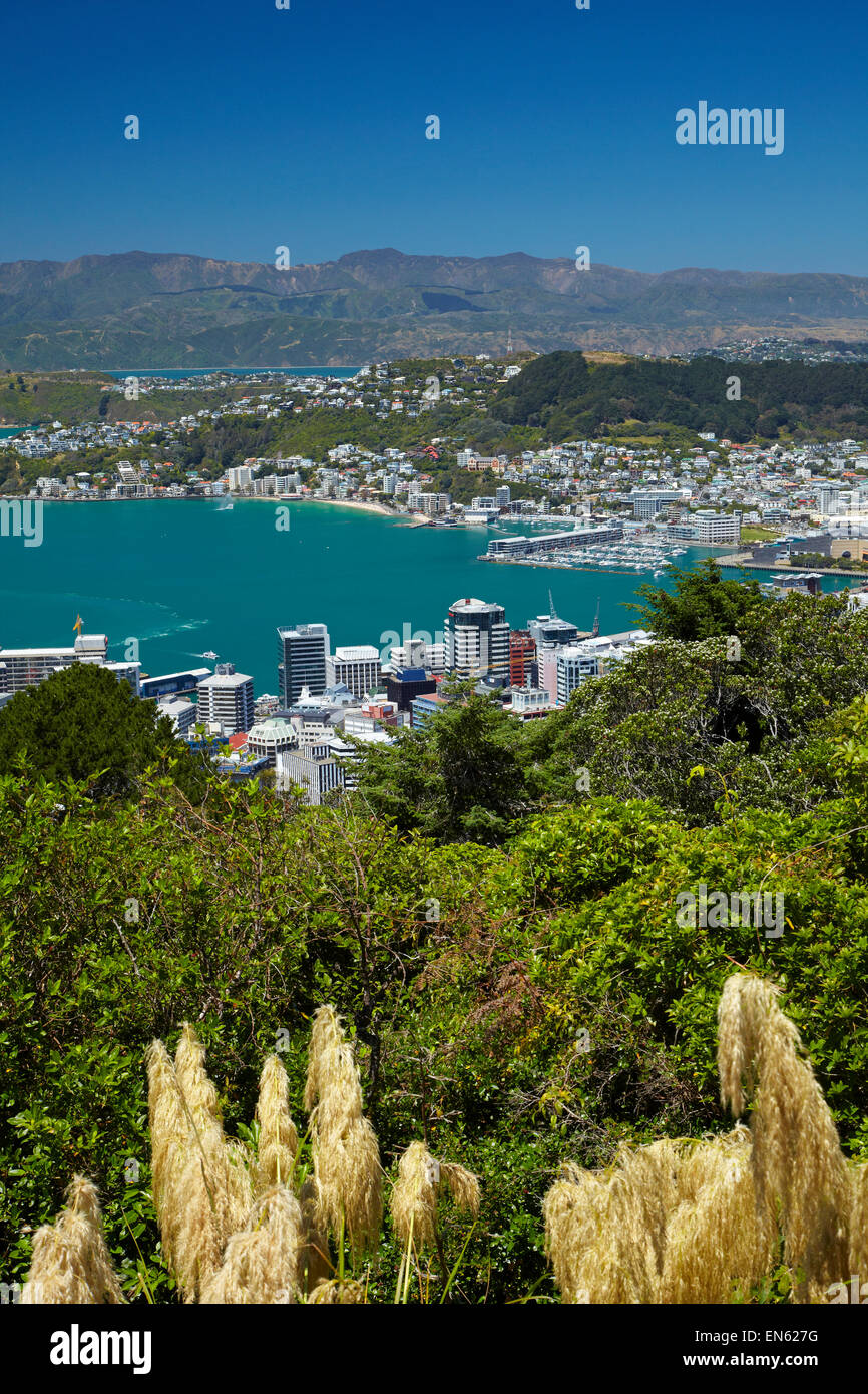 CBD, Wellington Harbour, Baie Orientale, et mosquée de graminées, de Wellington, Île du Nord, Nouvelle-Zélande Banque D'Images