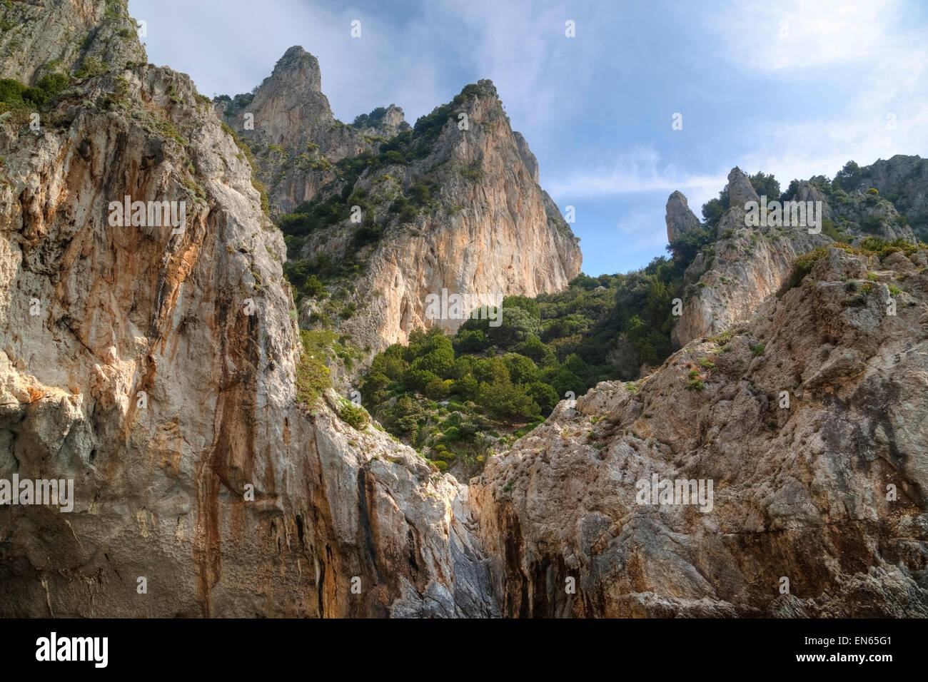 Capri, falaises, Naples, Campanie, Italie Banque D'Images