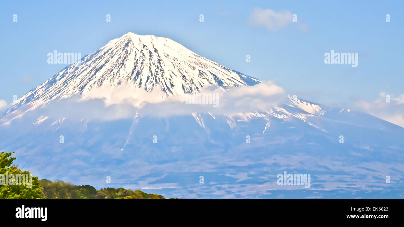 Le Mt Fuji voir l'panplama Banque D'Images