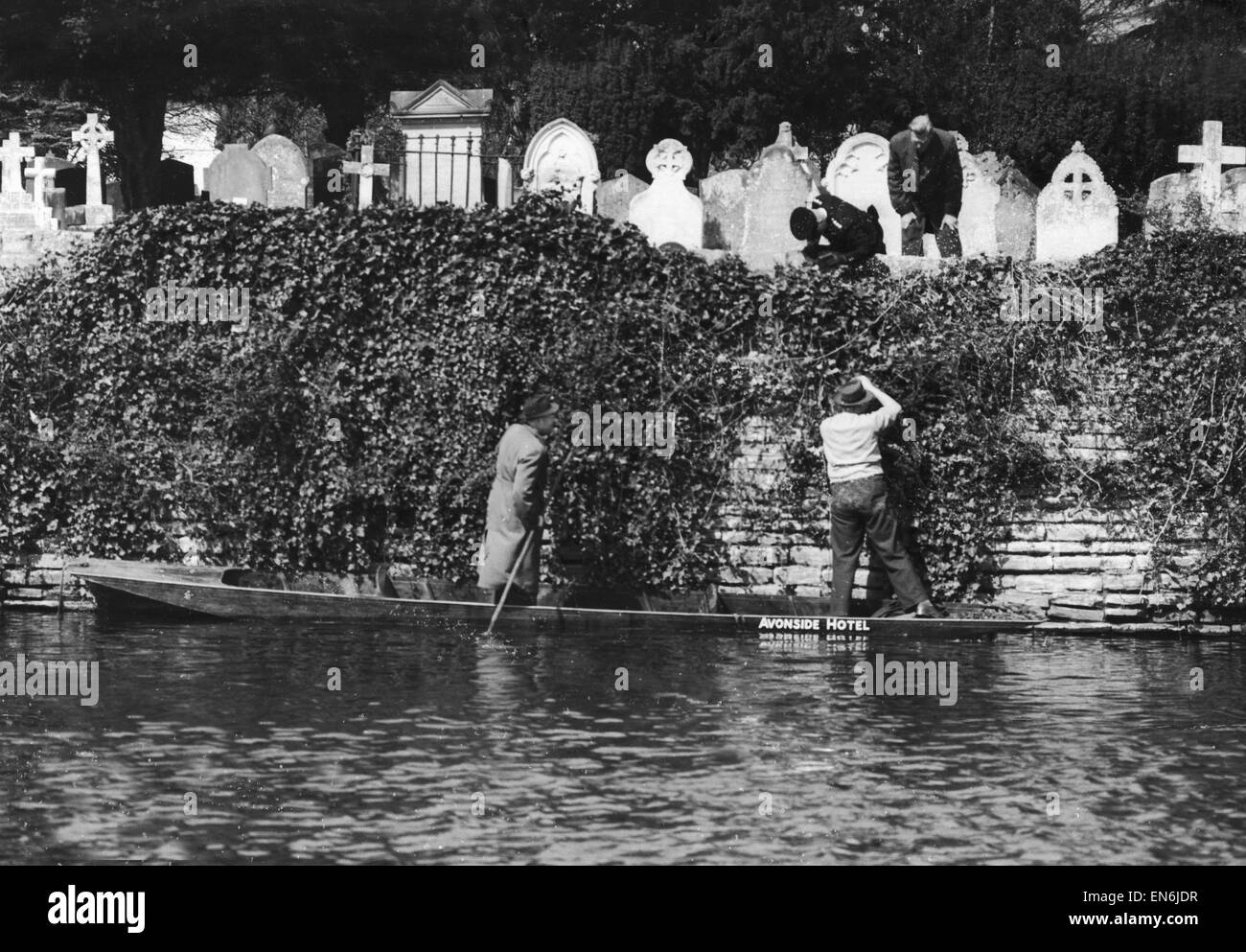 Les membres de la CID peignant le cimetière et la rive du fleuve pour preuve le 29 avril 1954. Bennett d'olive l'infirmière célibataire trouvé mort dans la rivière Avon à Stratford. Le soir de sa mort, samedi, avril 24th, 1954, Olive peut Bennett, 45 ans, a été vu Banque D'Images