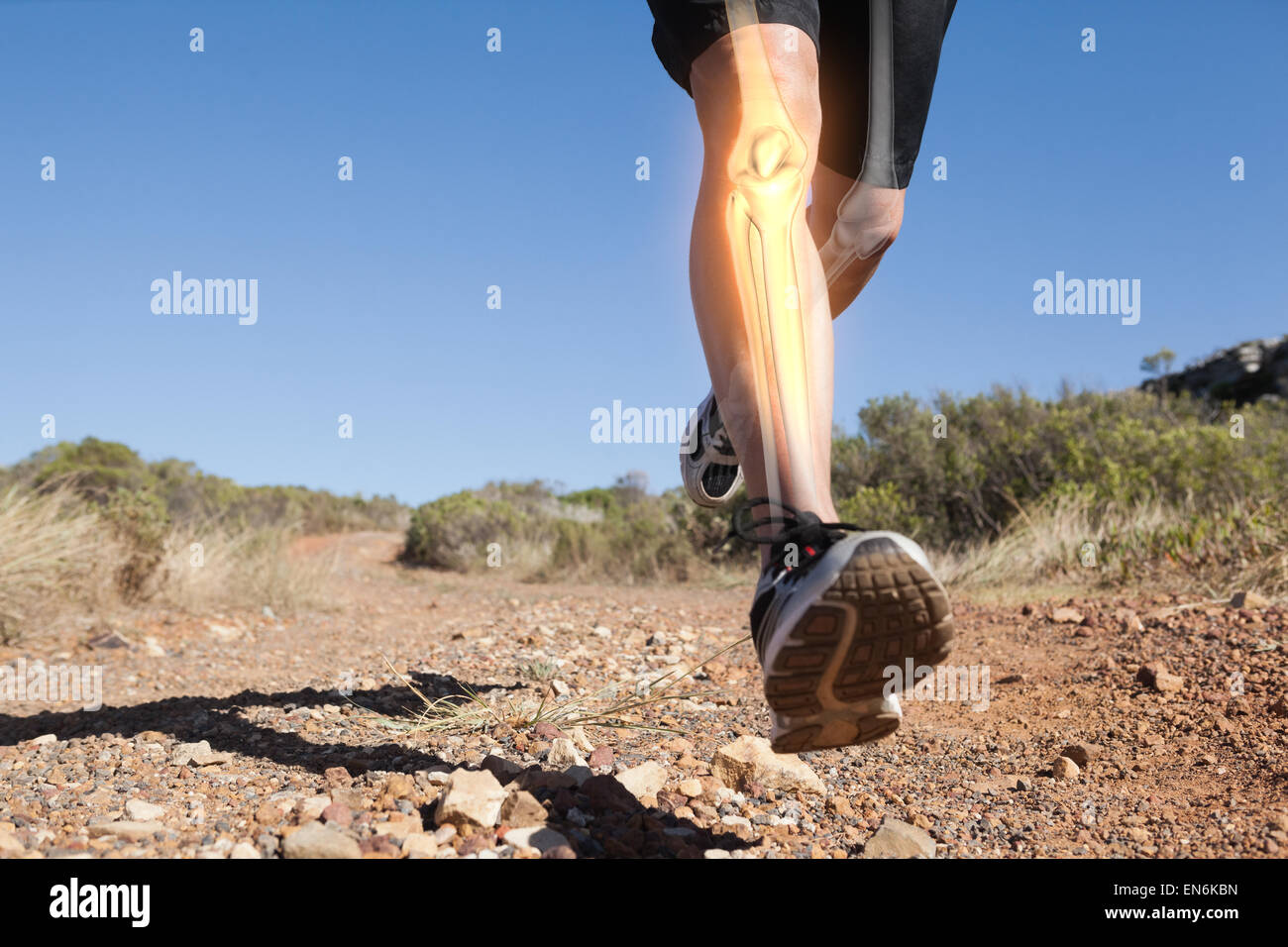 Les os des jambes en surbrillance de l'homme jogging Banque D'Images