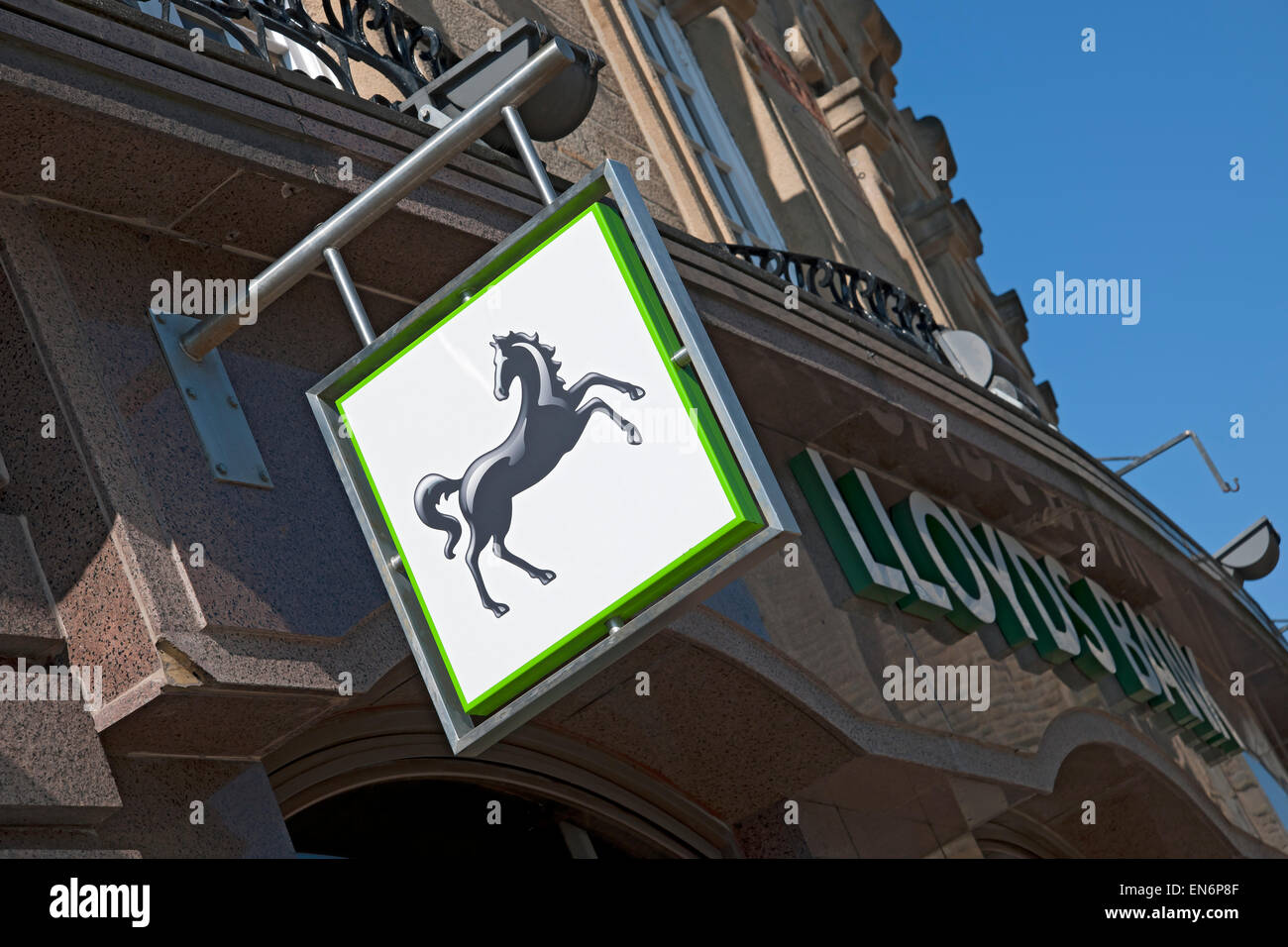 Gros plan de la signalisation extérieure de la succursale de Lloyds Bank Angleterre Royaume-Uni GB Grande-Bretagne Banque D'Images