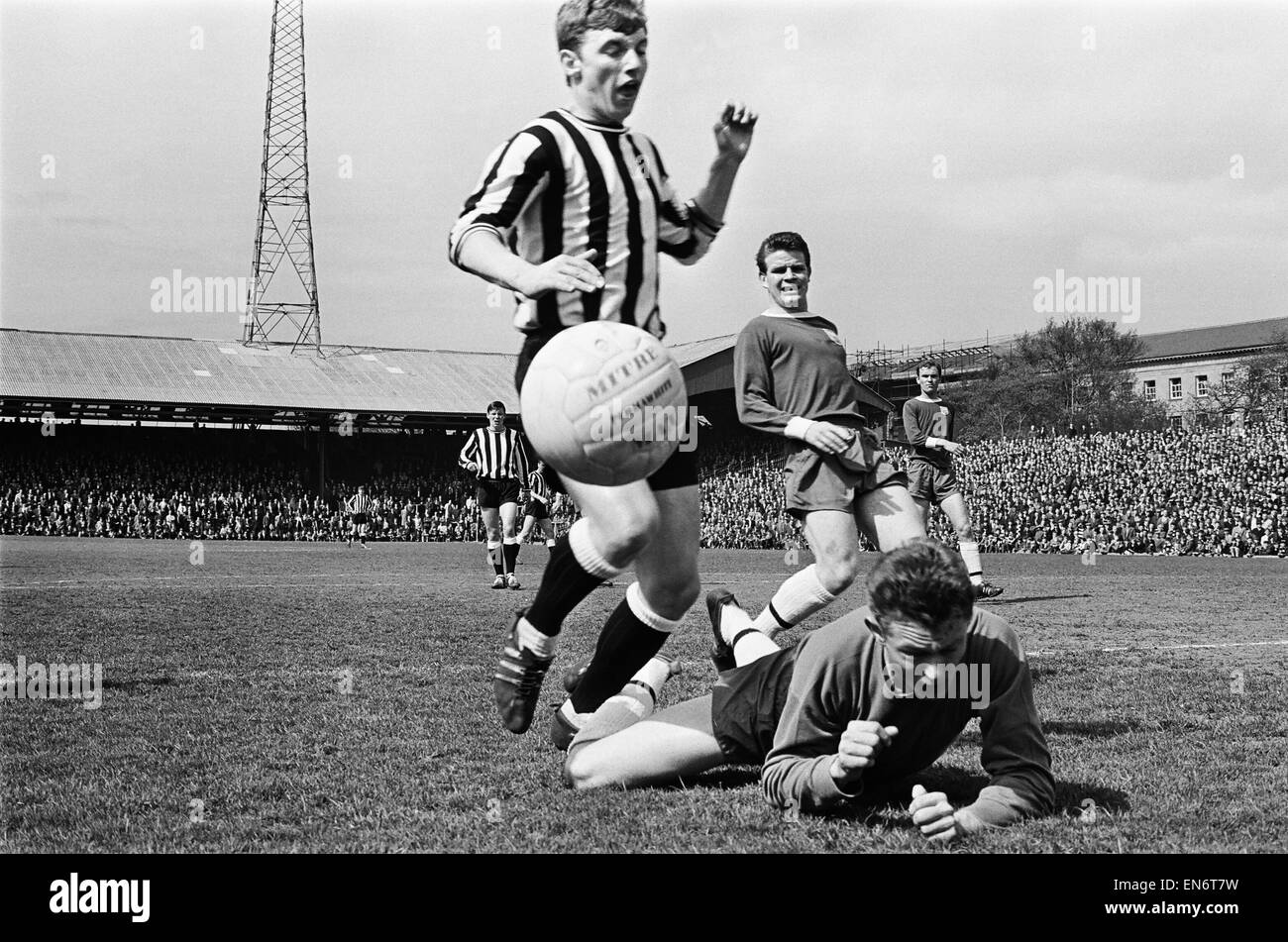 Fulham 1 c. Newcastle 1. Campagne de la Ligue 1966 le gardien de Fulham McClelland plongées à coups de poing pour un coin après une forte shot par Newcastle's David Craig. 7 mai 1966 Banque D'Images