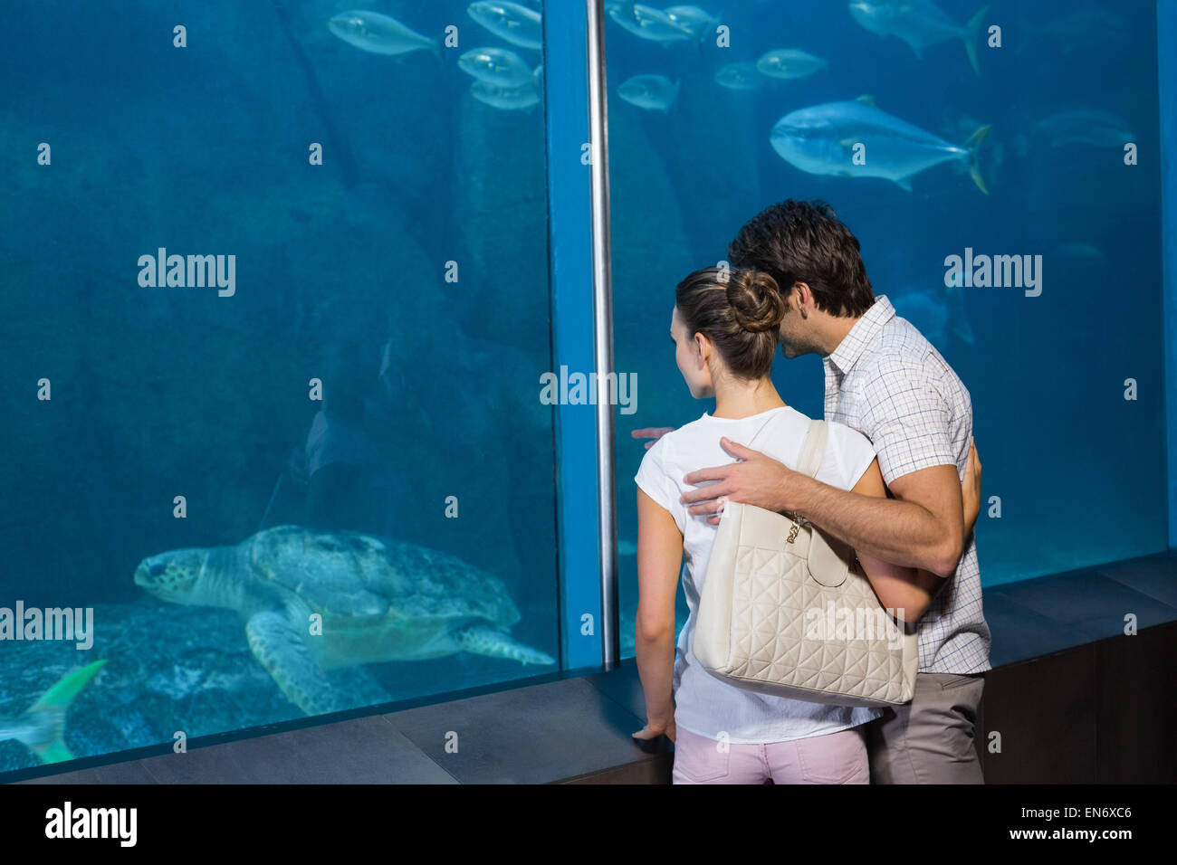 Happy couple looking at fish tank Banque D'Images
