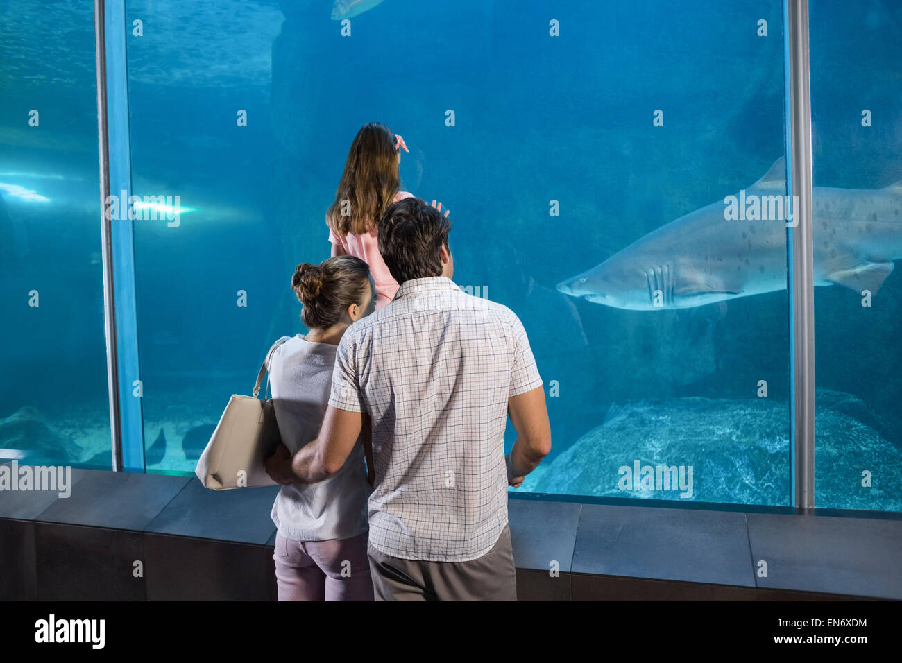 Happy Family looking at fish tank Banque D'Images