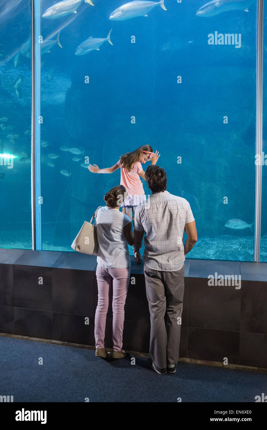 Happy Family looking at fish tank Banque D'Images