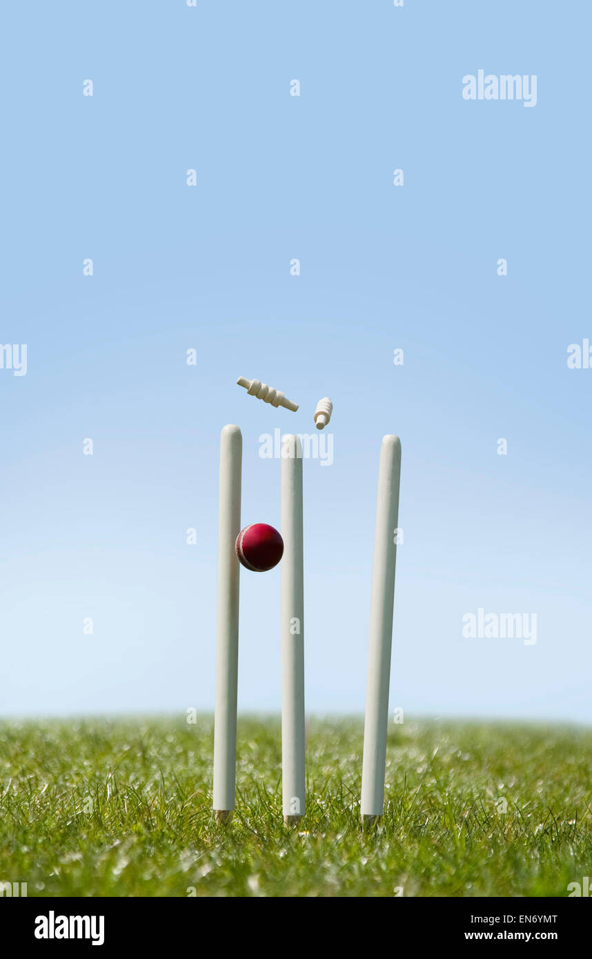 Le Cricket balle touche le guichet Banque D'Images